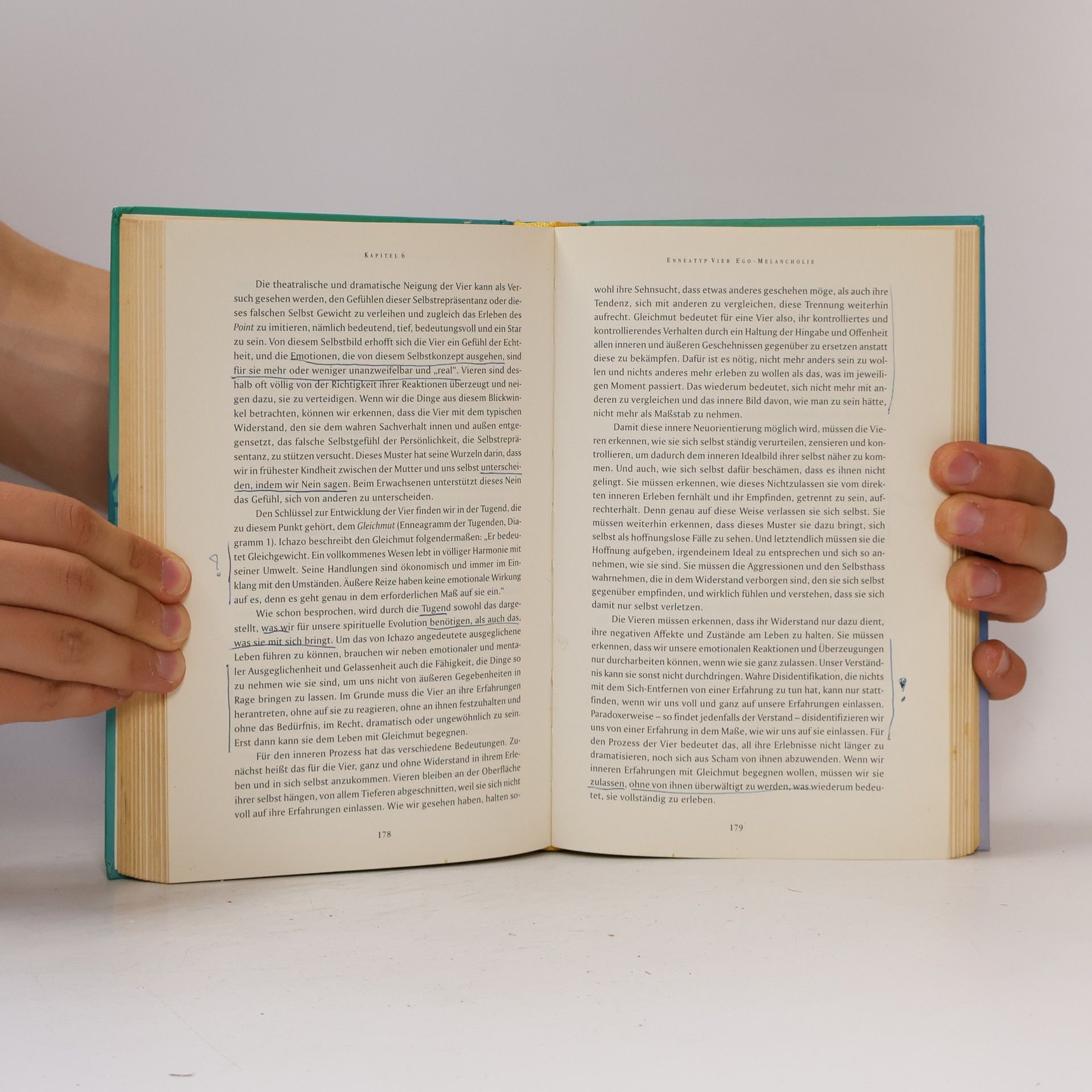 Sandra Maitri Neun Porträts der Seele