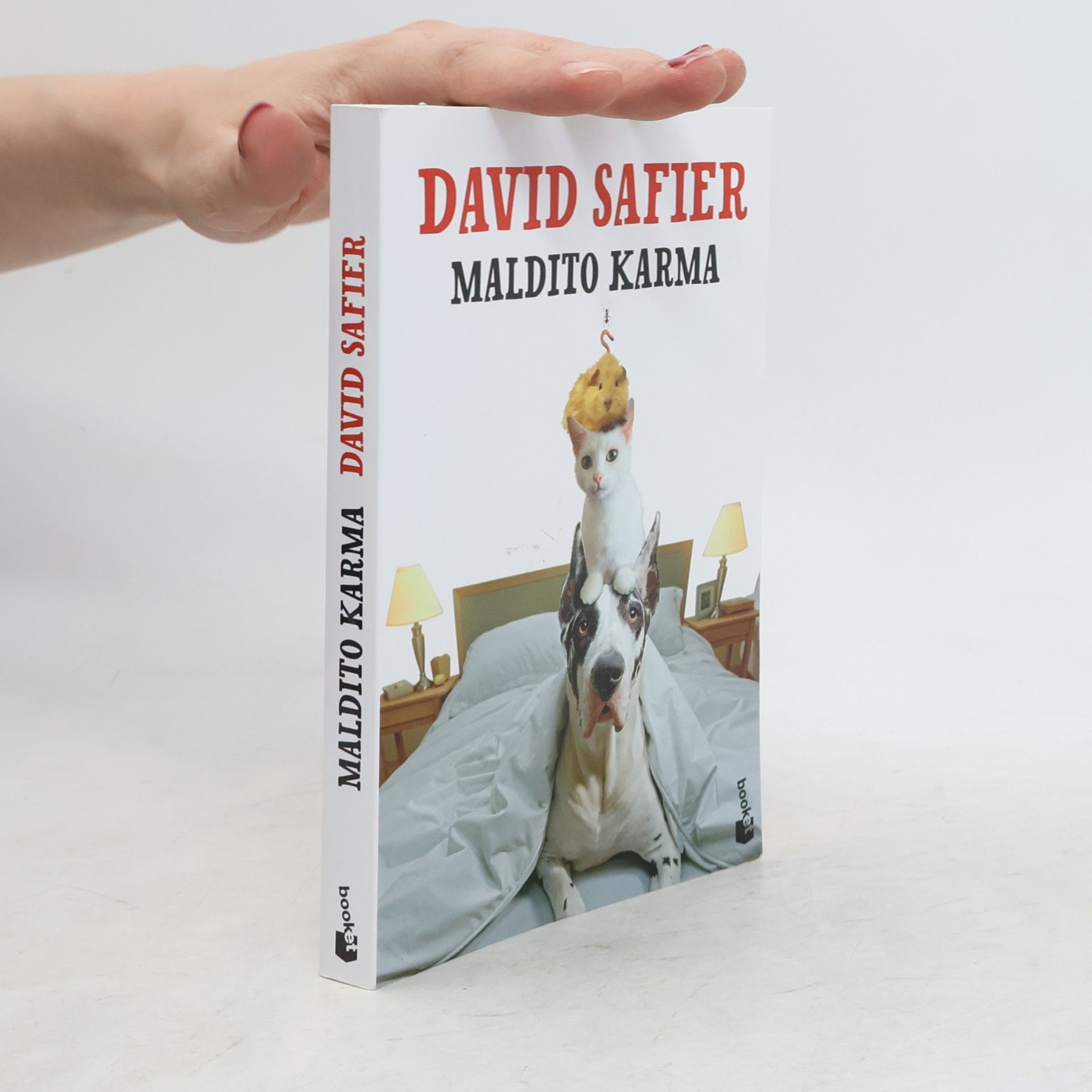 David Safier Maldito karma