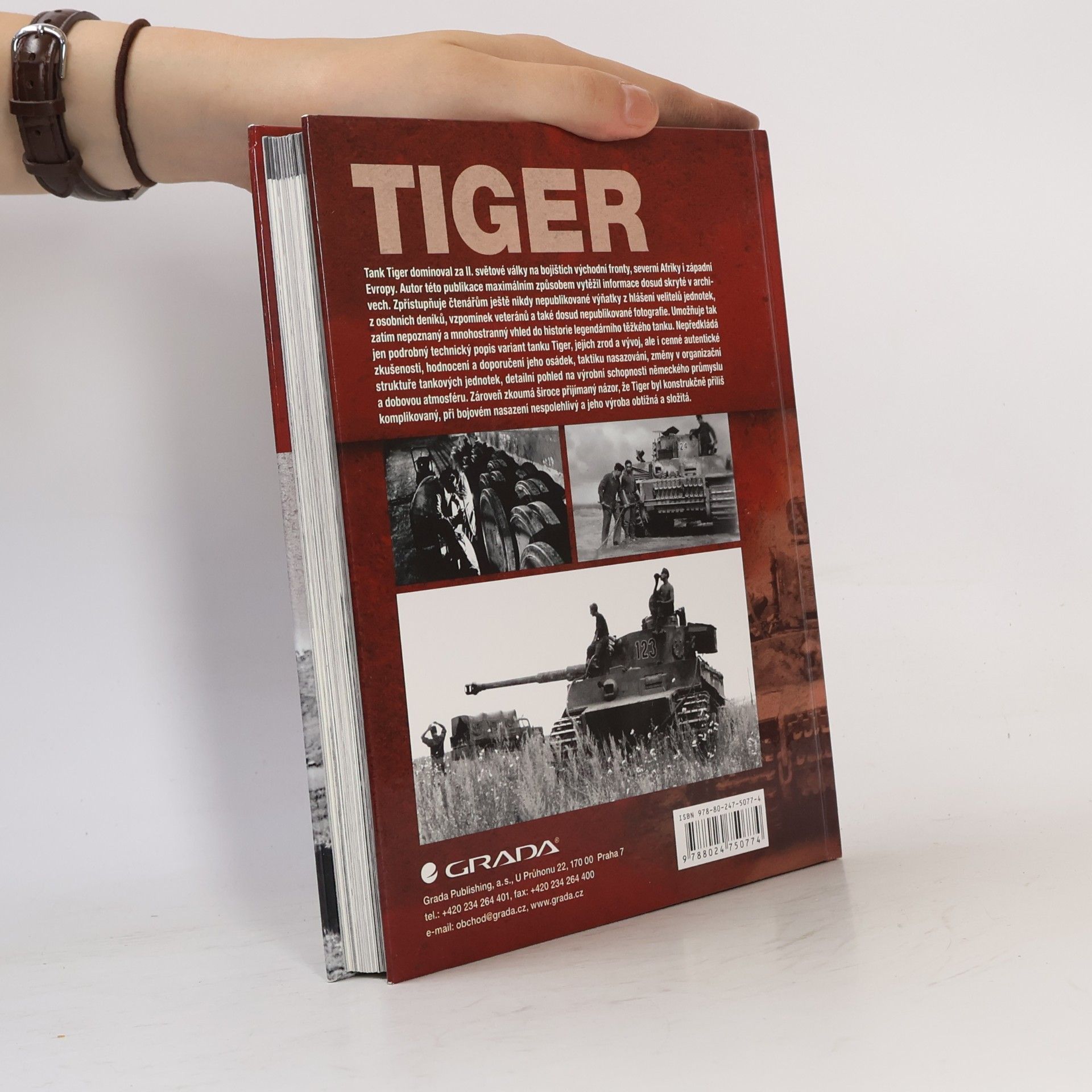 Thomas Anderson Tiger