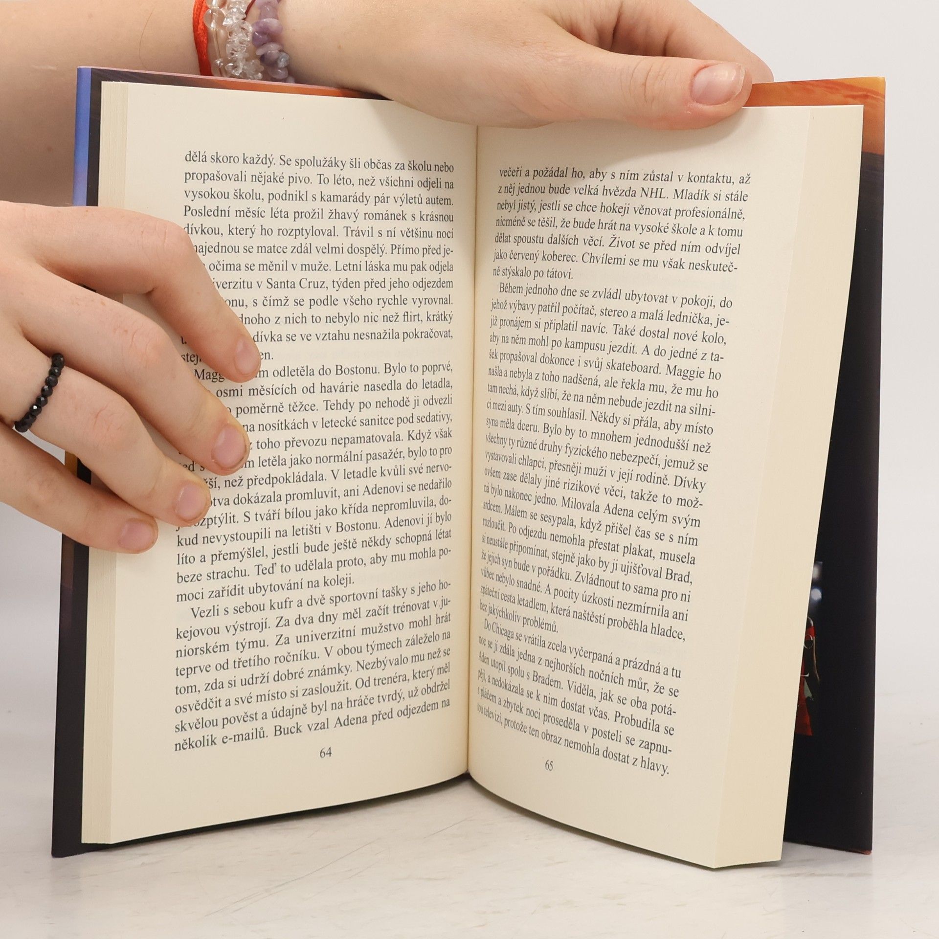 Danielle Steel Devět životů