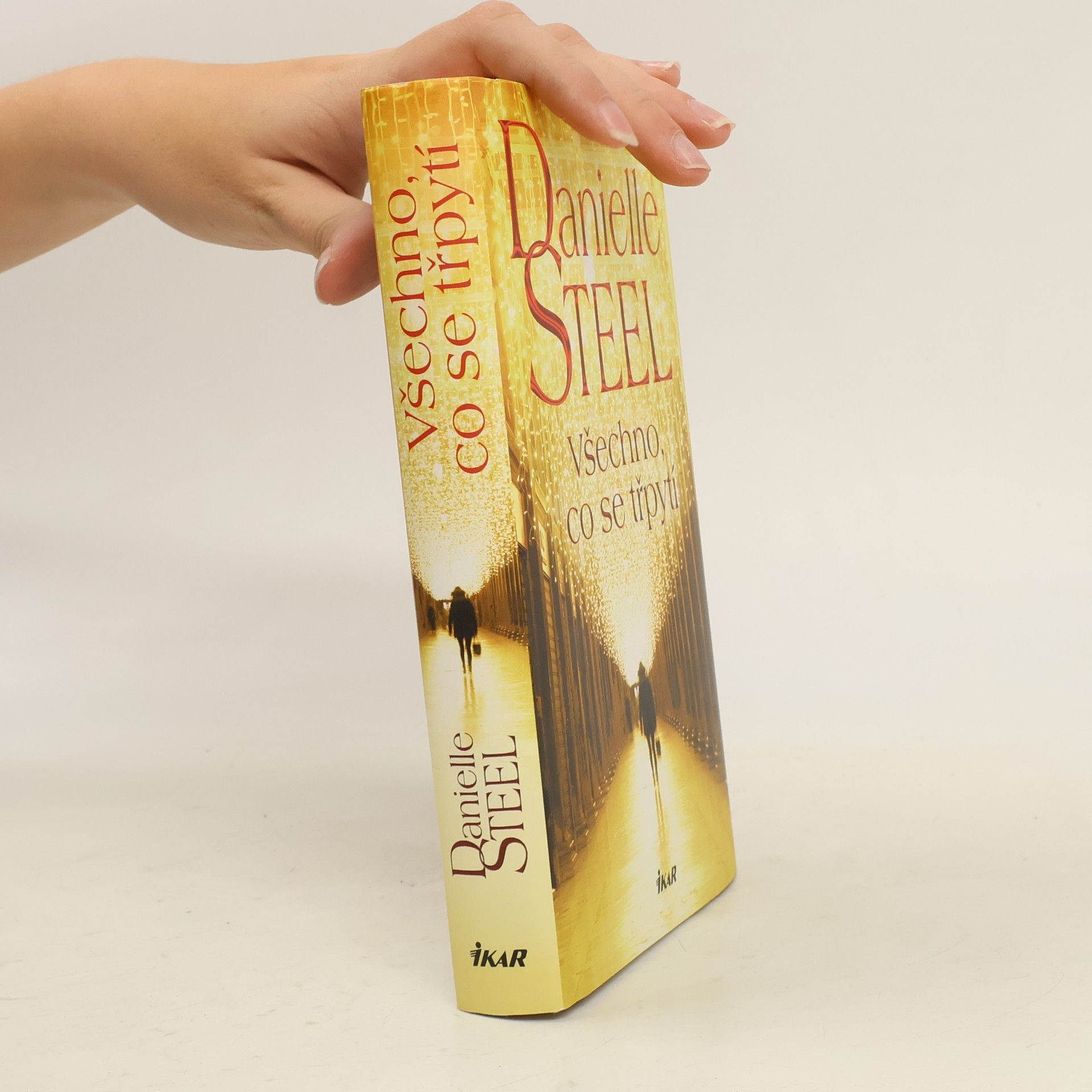 Danielle Steel Všechno, co se třpytí
