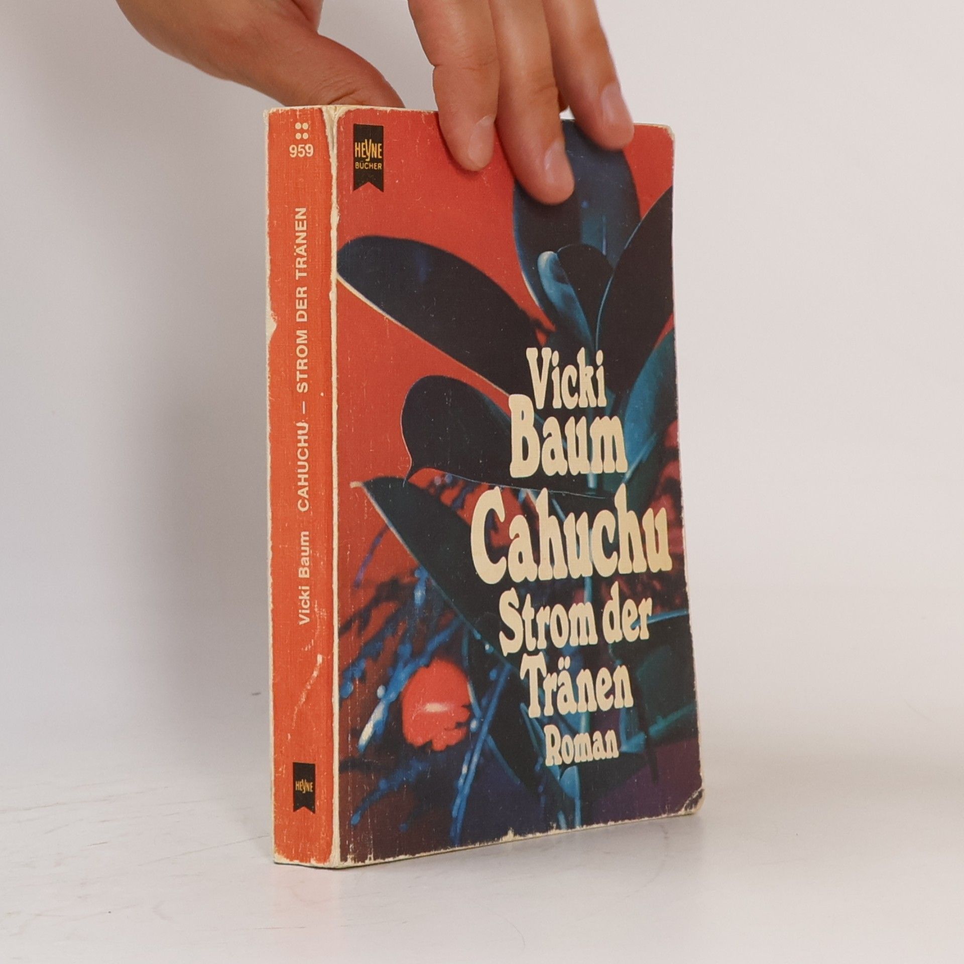 Vicki Baum Cahuchu, Strom der Tränen