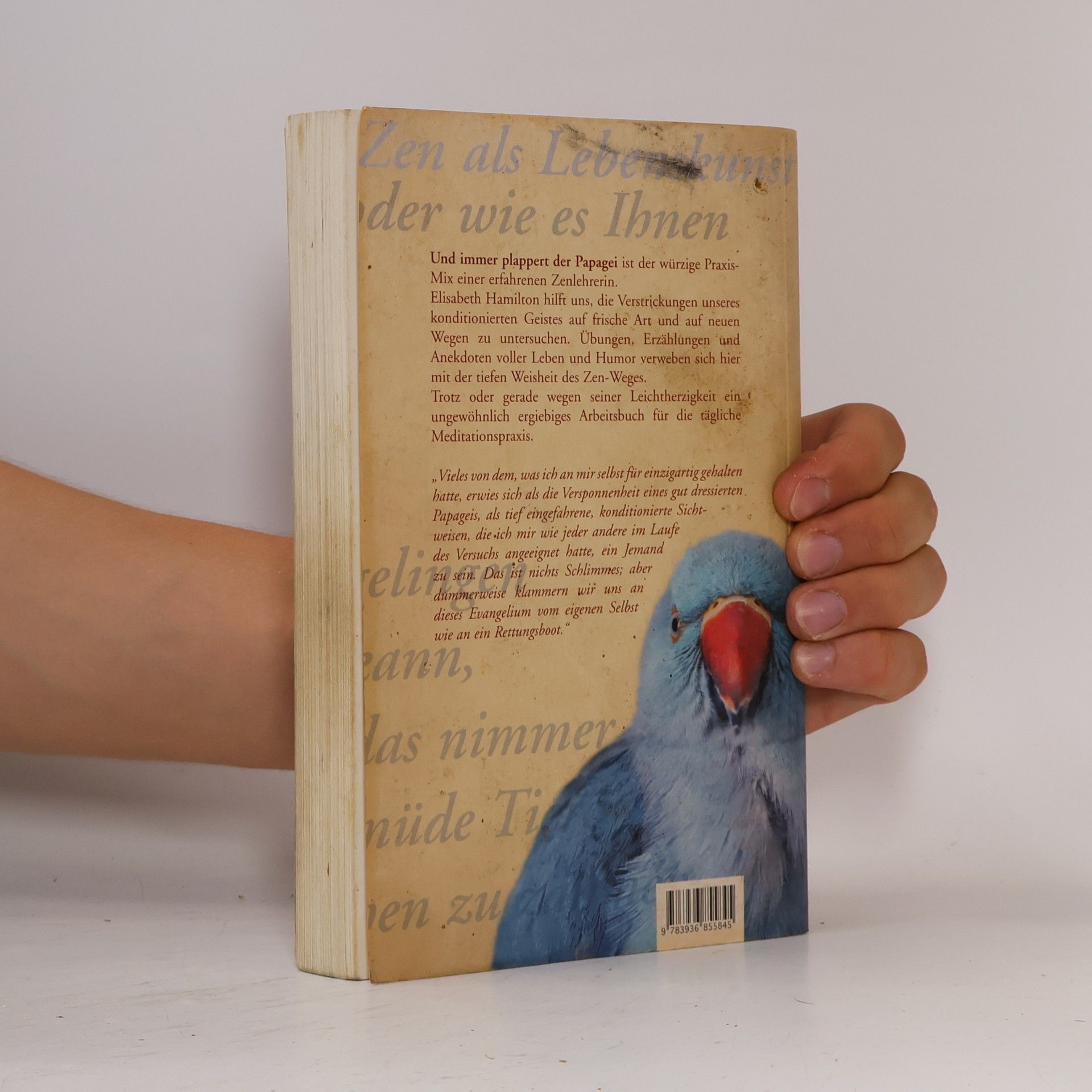 Elizabeth Hamilton Und immer plappert der Papagei. Zen als Lebenskunst, oder wie es Ihnen gelingen kann, das nimmermüde Tierchen zu zähmen