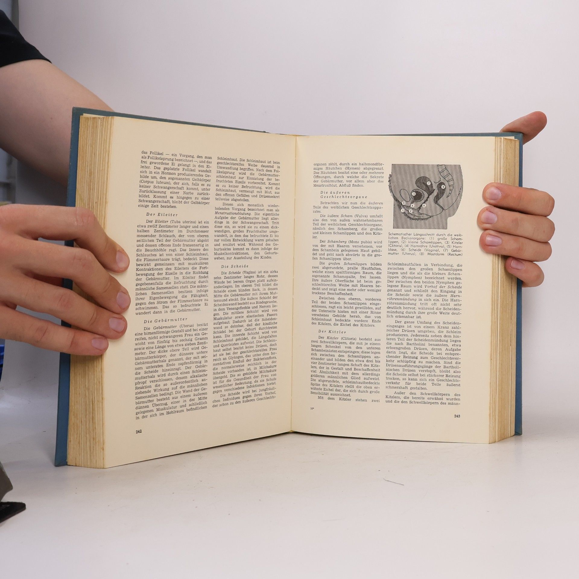 Georg Fischhof 1x1 des glücklichen Lebens