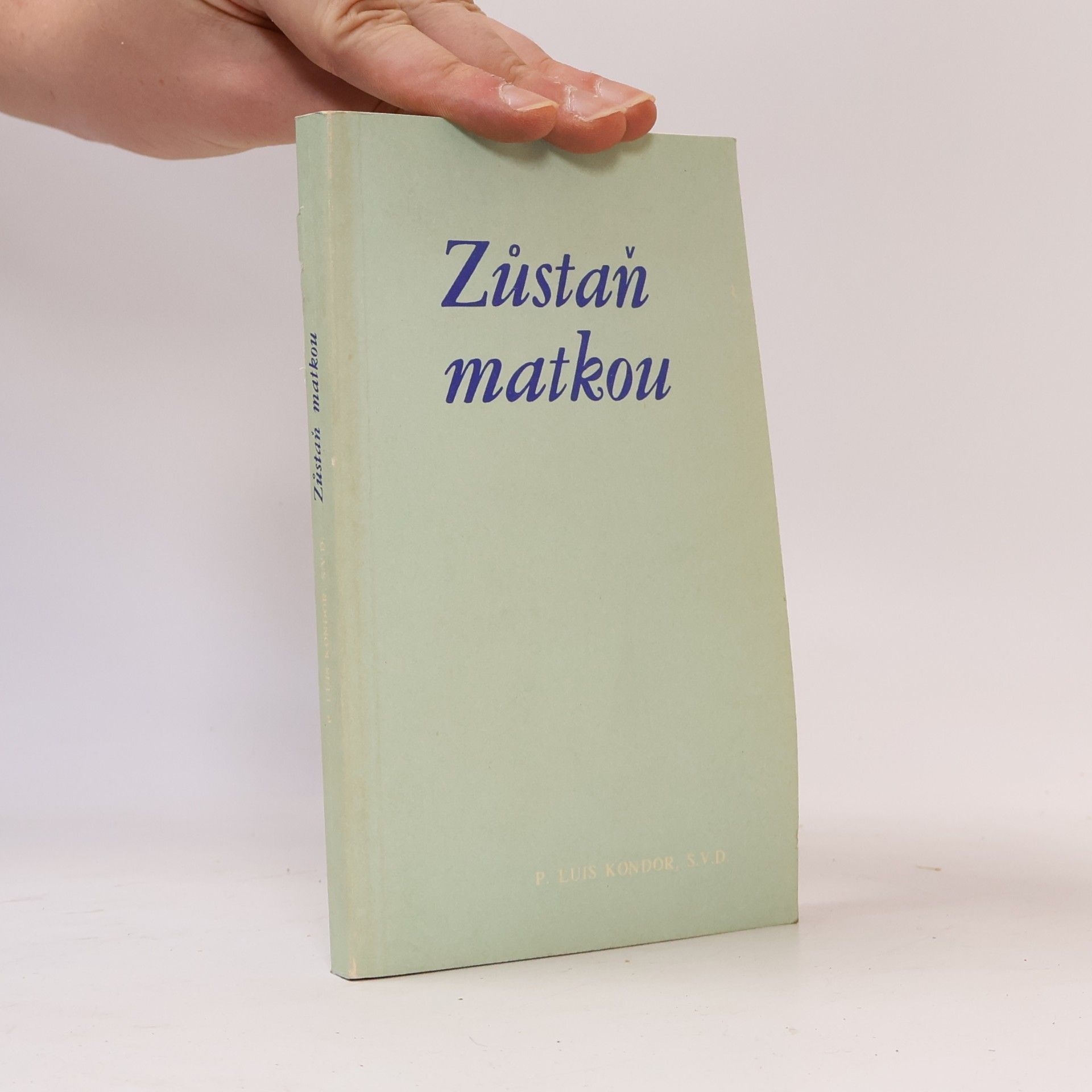 Luis Kondor Zůstaň matkou