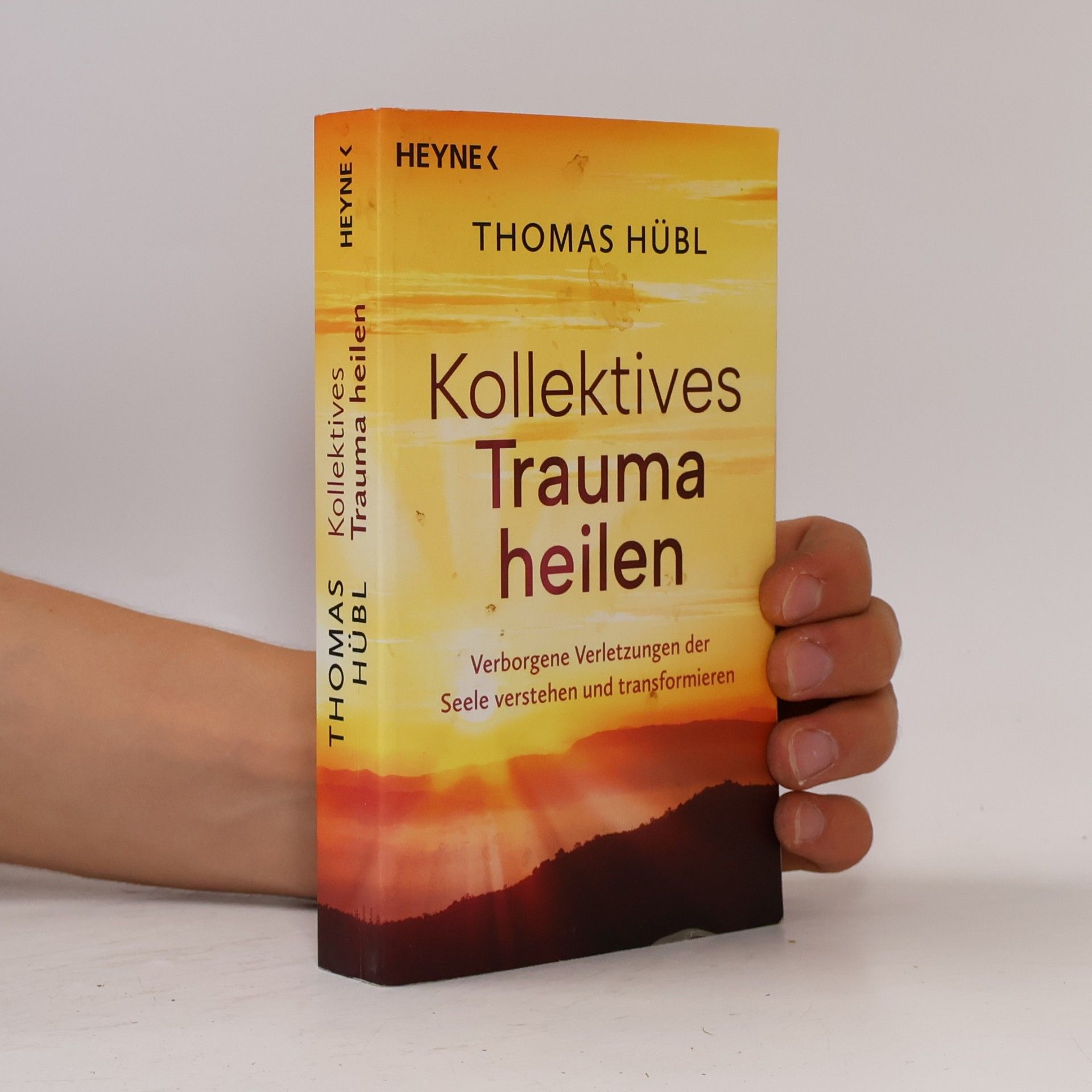 Thomas Hübl Kollektives Trauma heilen