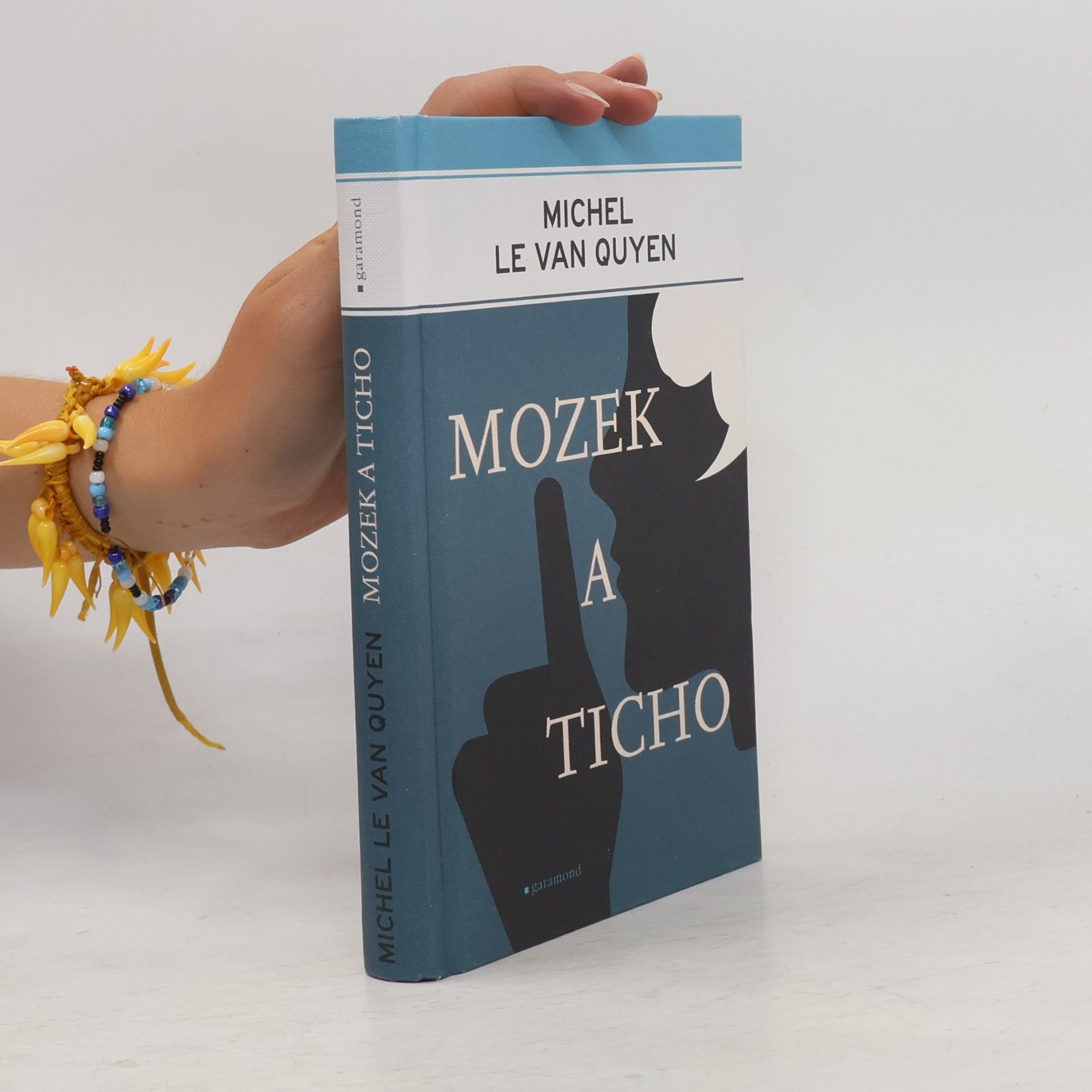 Michel Le Van Quyen Mozek a ticho