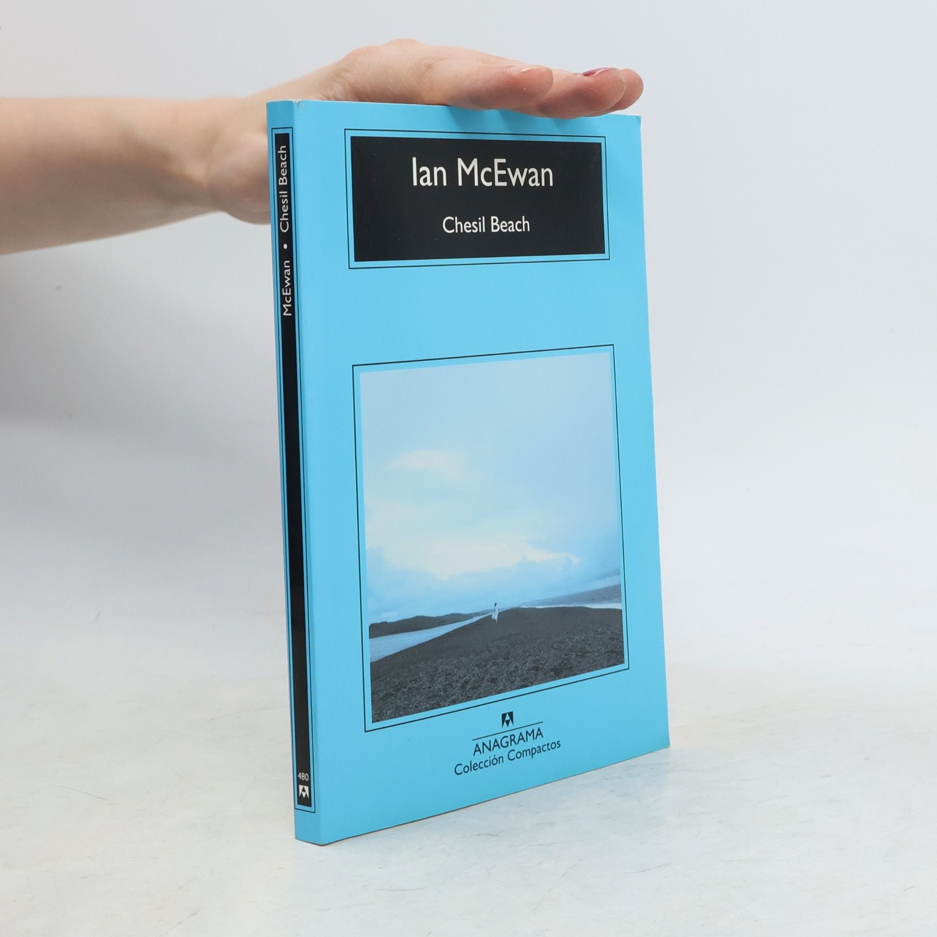 Ian McEwan Chesil Beach