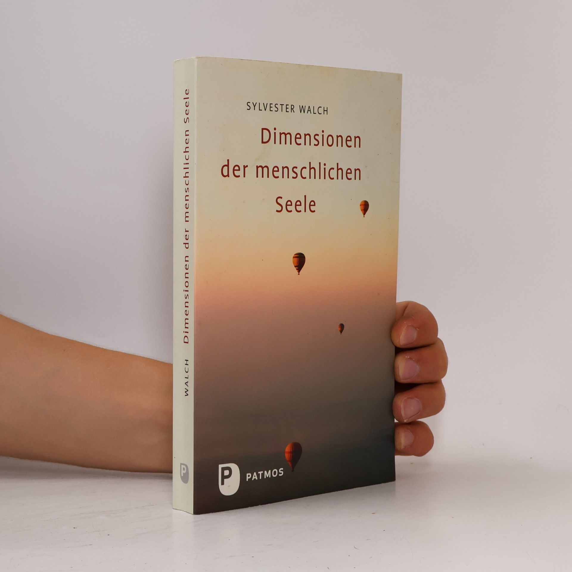 Sylvester Walch Dimensionen der menschlichen Seele