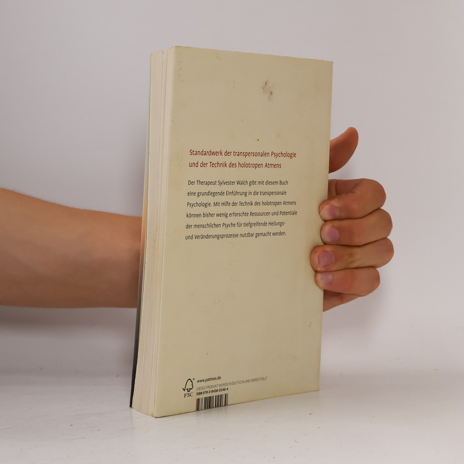 Sylvester Walch Dimensionen der menschlichen Seele