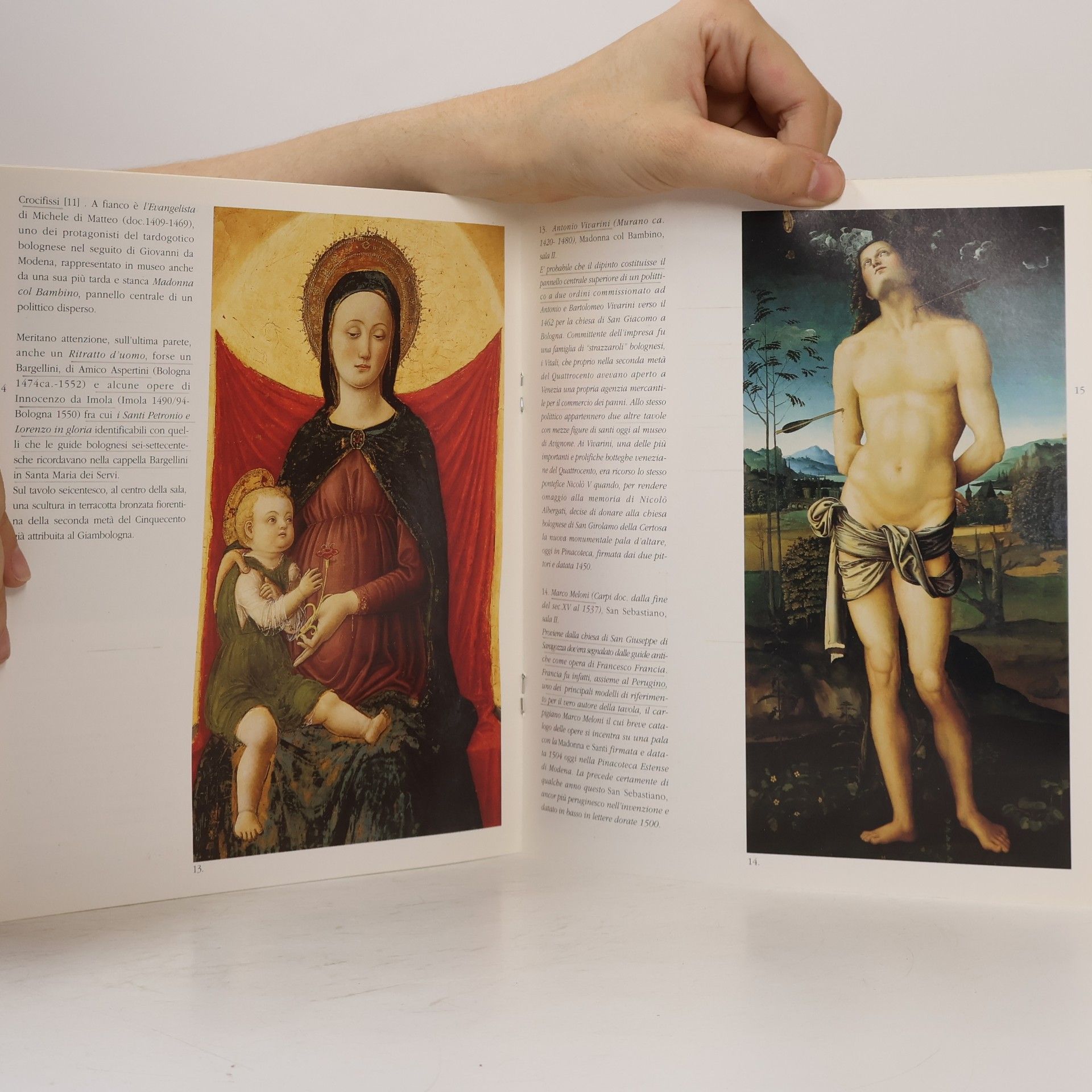 Autorenkollektiv Il Museo Davia Bargellini