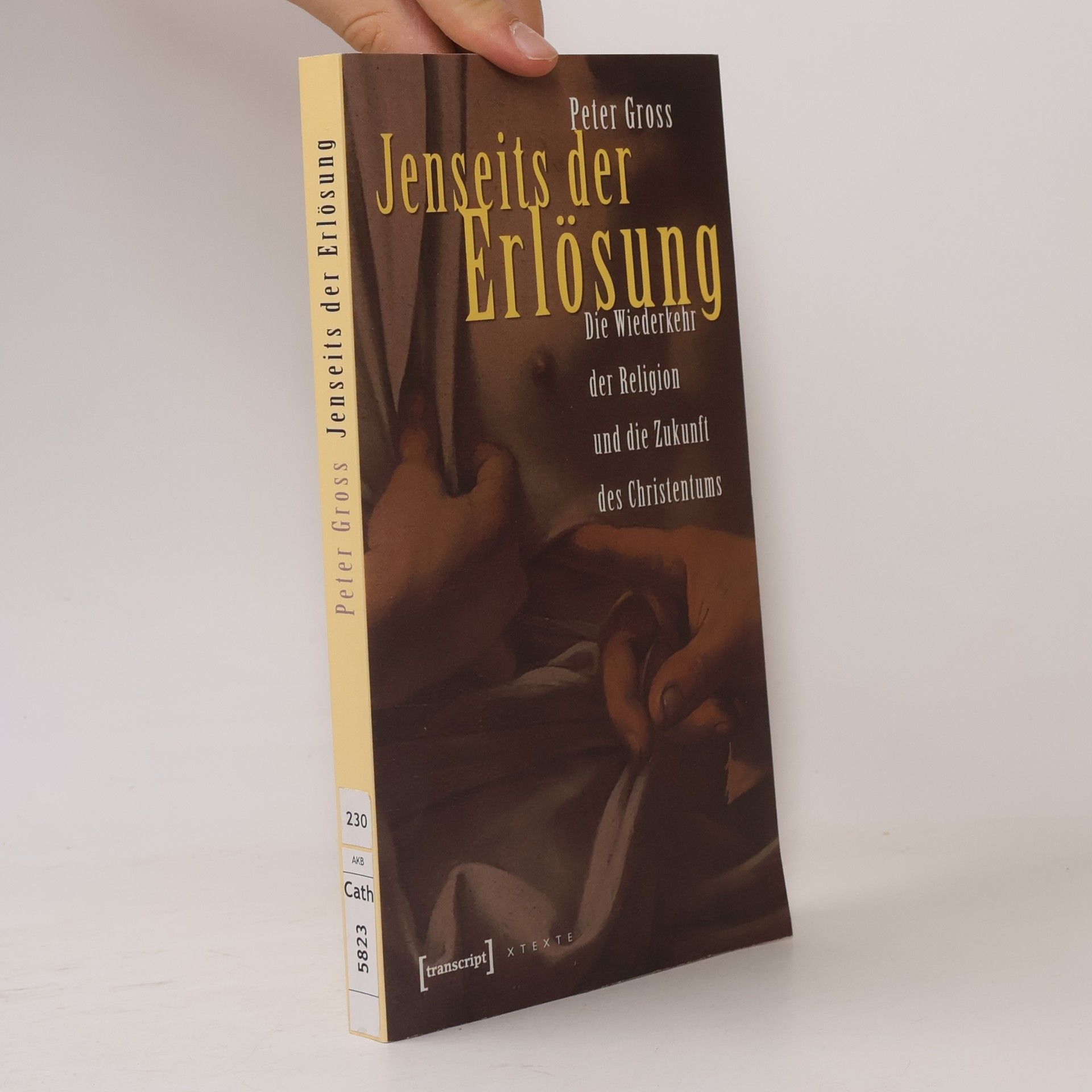 Peter Gross (Soziologe) X-Texte zu Kultur und Gesellschaft: Jenseits der Erlösung