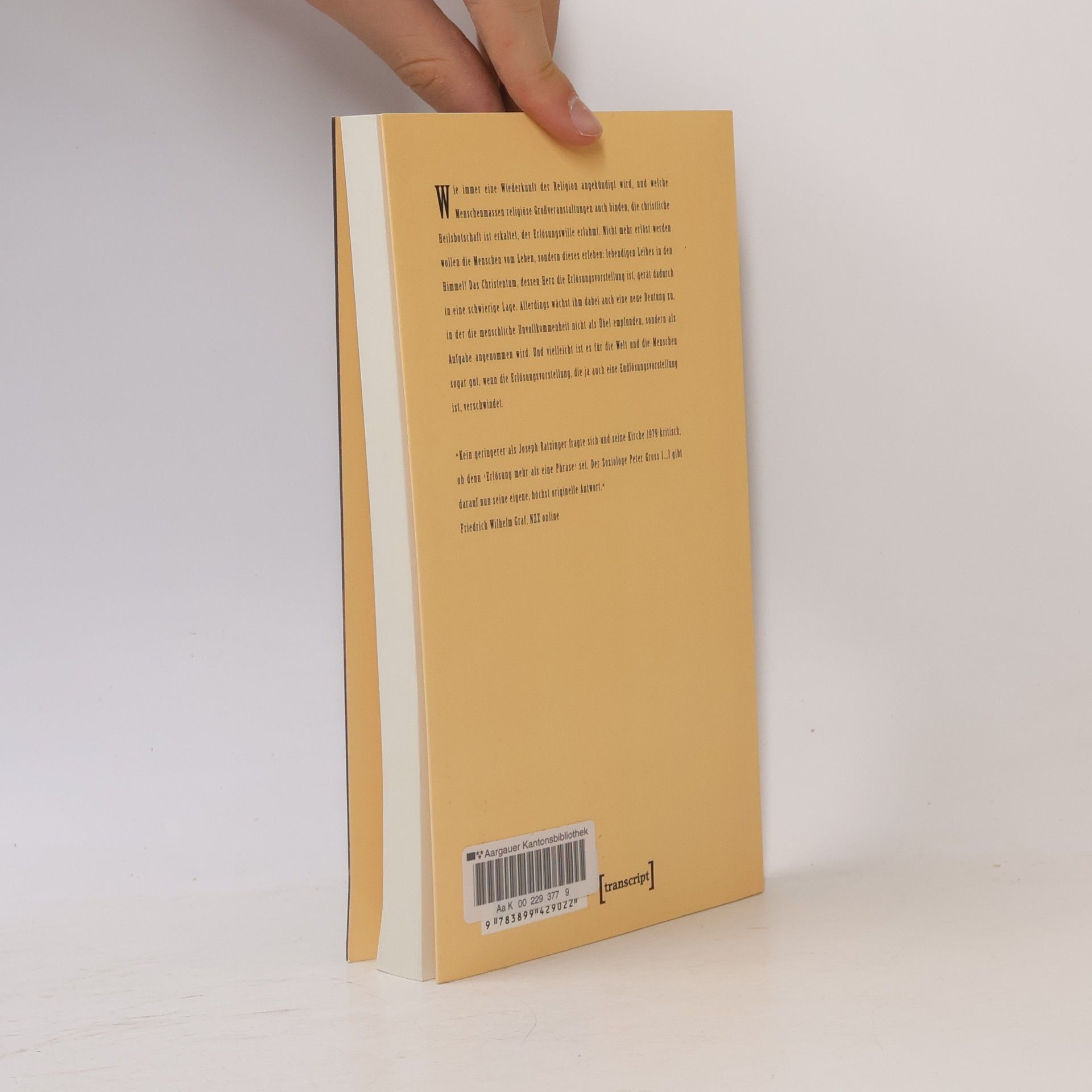 Peter Gross (Soziologe) X-Texte zu Kultur und Gesellschaft: Jenseits der Erlösung