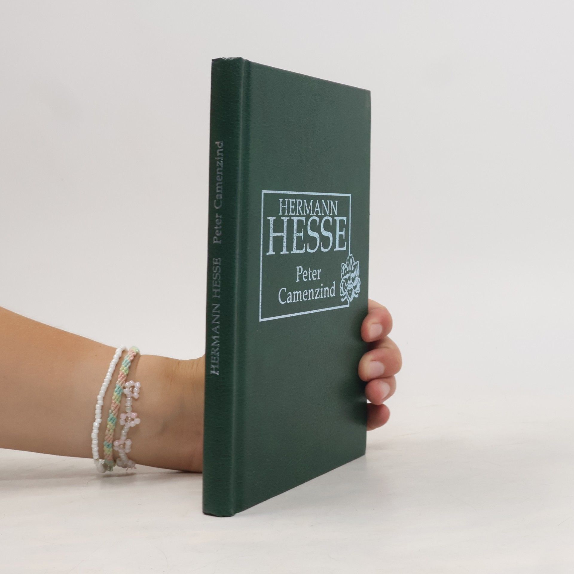 Hermann Hesse Petr Camenzind