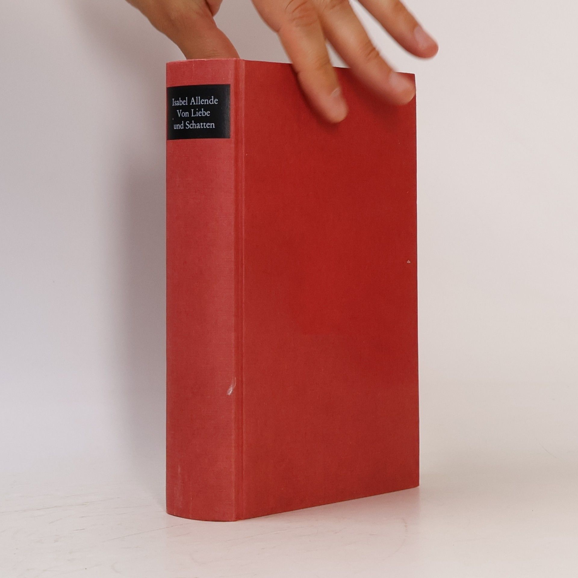Isabel Allende Llona Von Liebe und Schatten