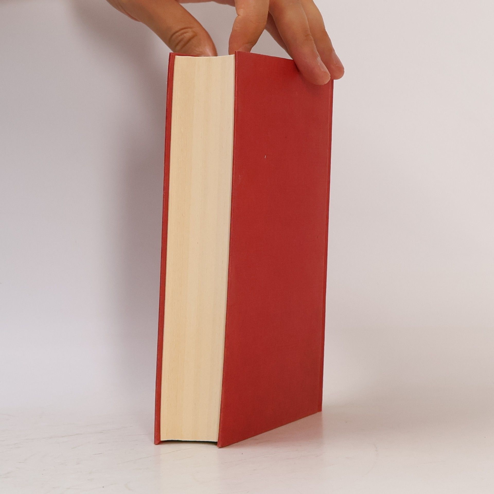 Isabel Allende Llona Von Liebe und Schatten