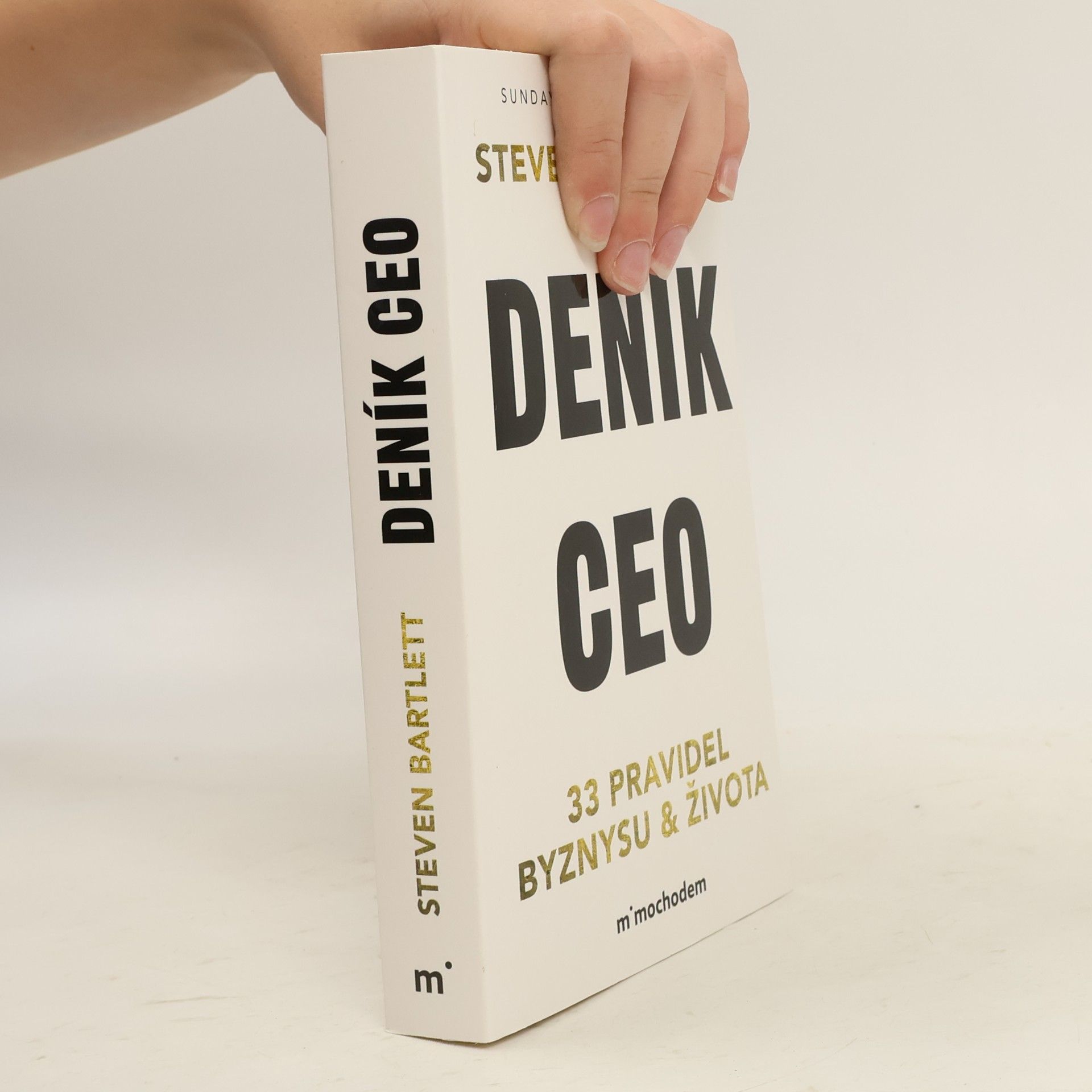 Steven Bartlett Deník CEO 33 pravidel byznysu a života