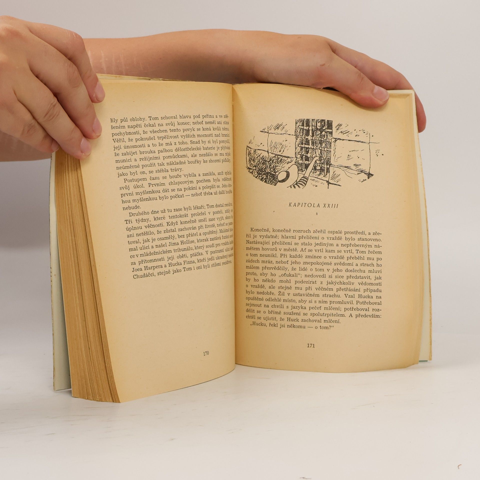 Mark Twain Dobrodružství Toma Sawyera