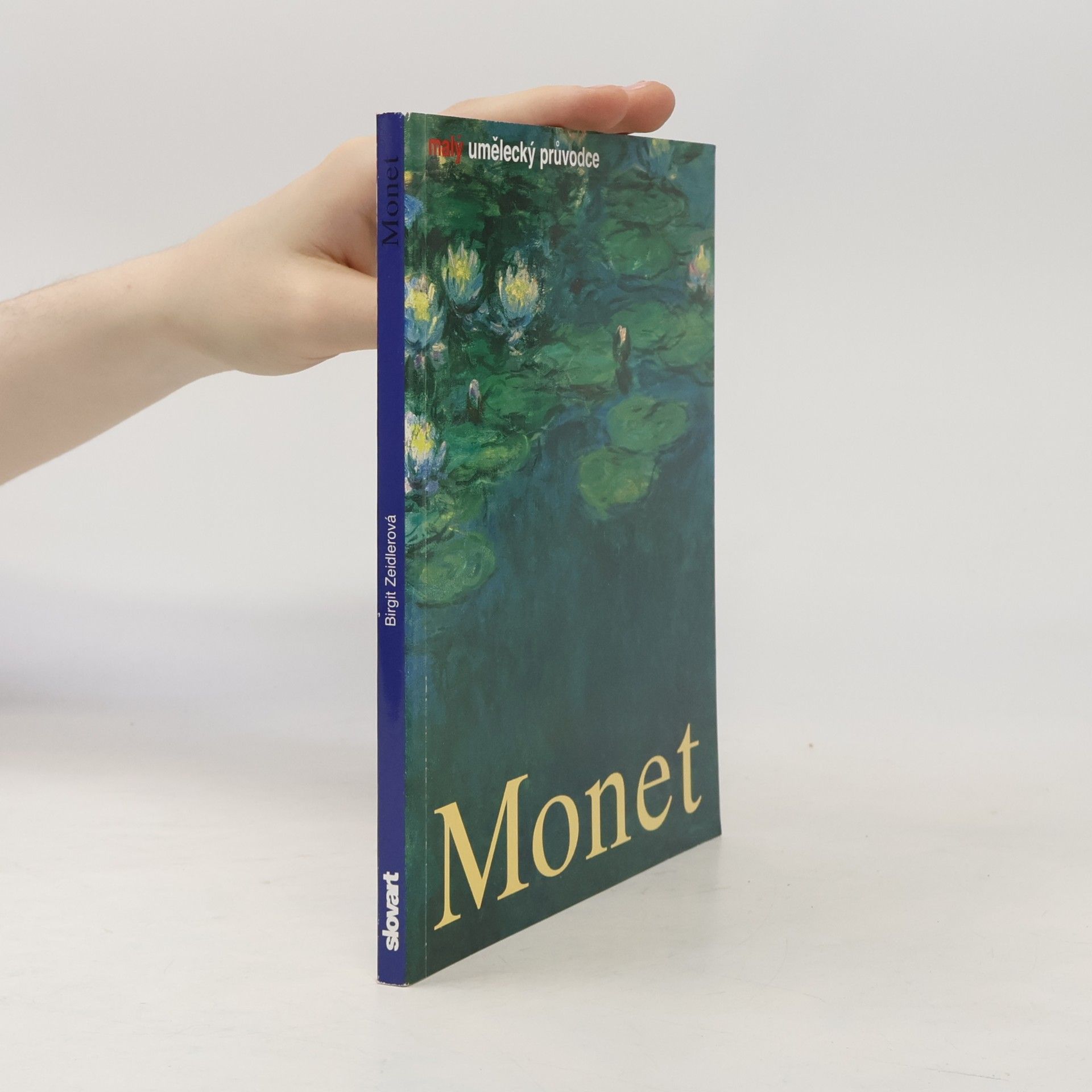 Birgit Zeidler Monet