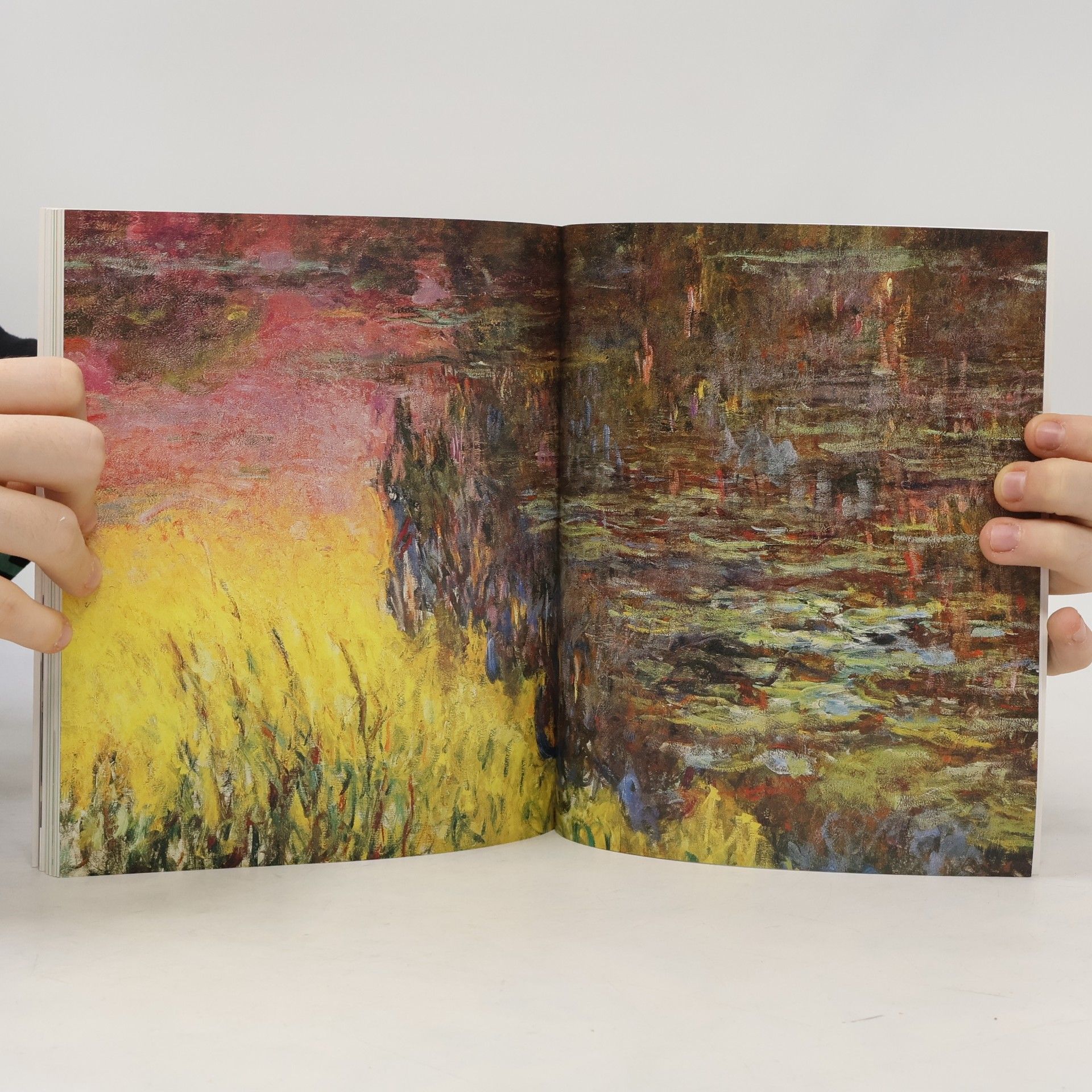 Birgit Zeidler Monet