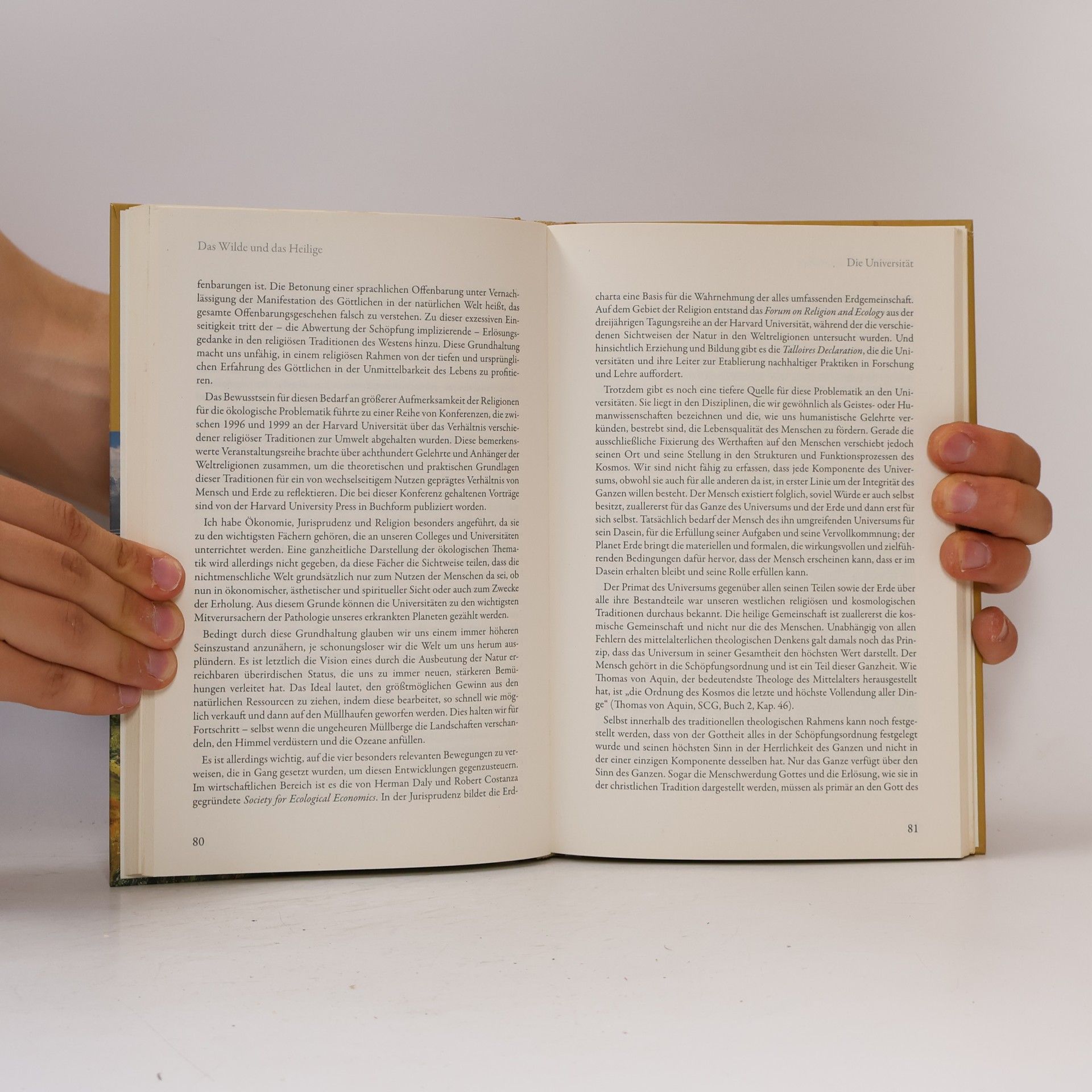 Thomas Berry Das Wilde und das Heilige