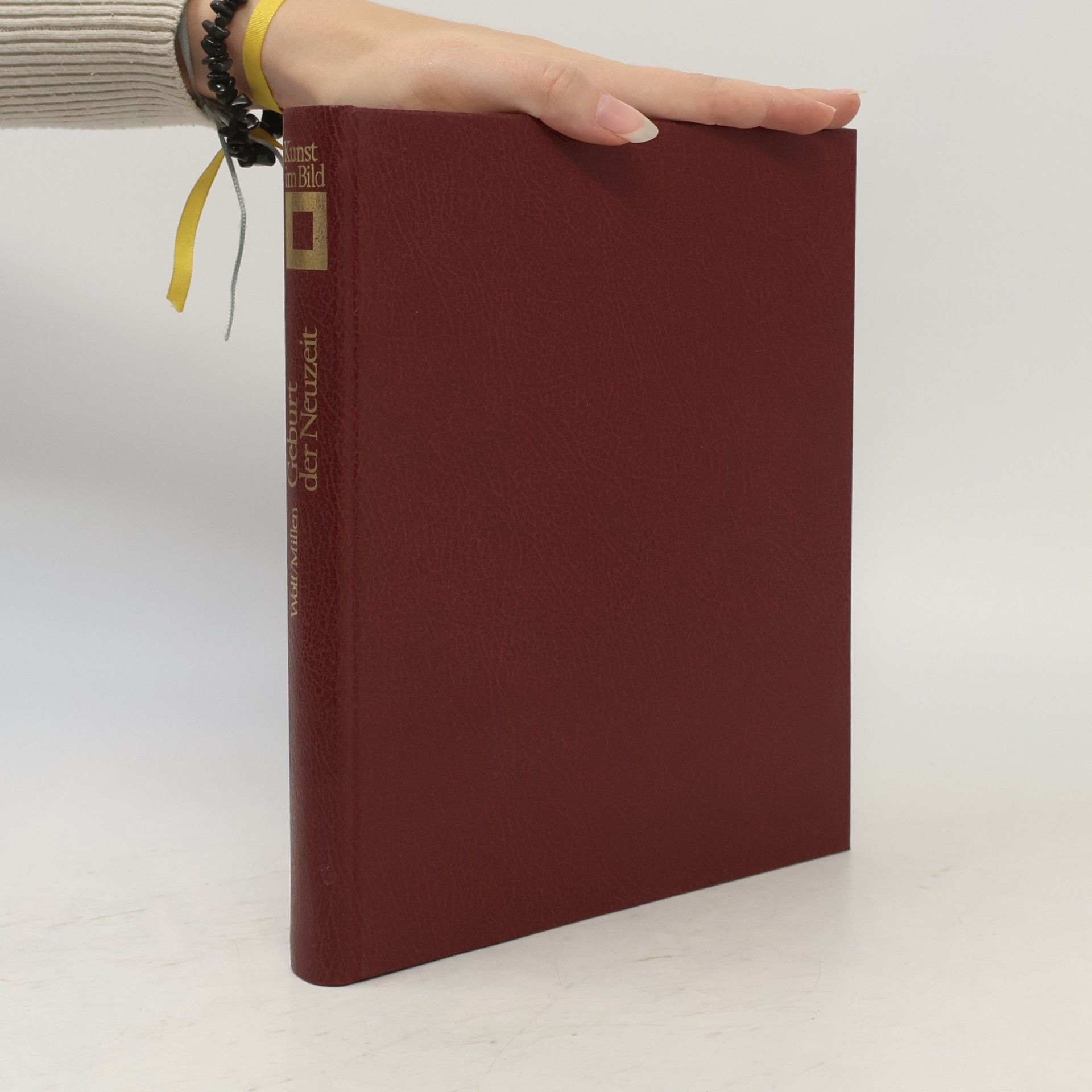 Robert Erich Wolf Kunst im Bild. Geburt der Neuzeit