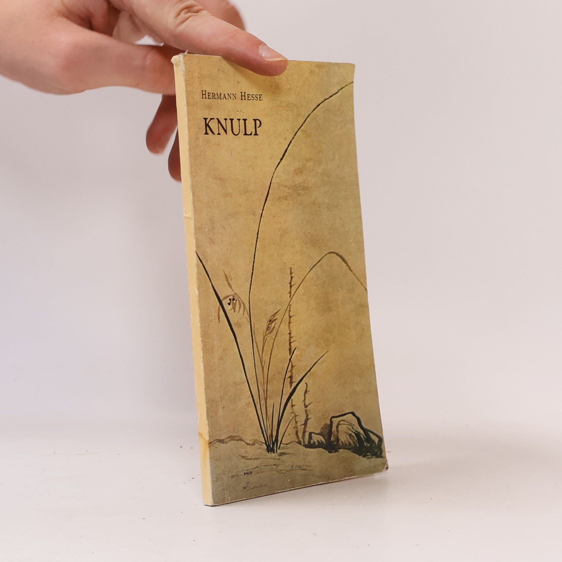 Hermann Hesse Knulp