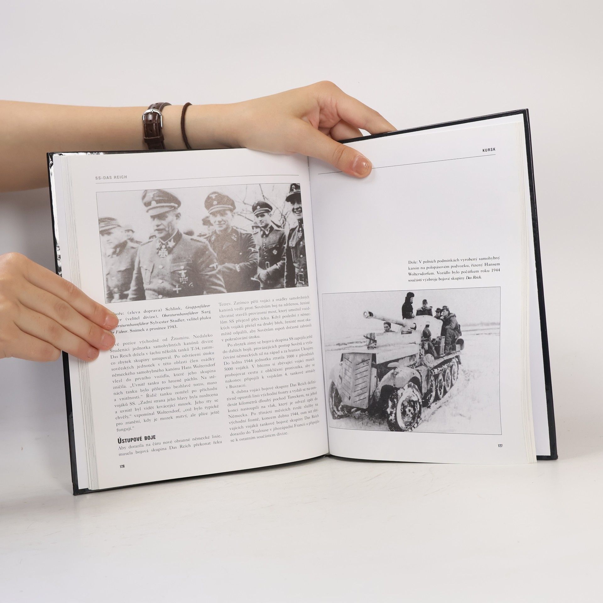 Gregory Louis Mattson SS - Das Reich: Historie druhé divize SS v letech 1939-45