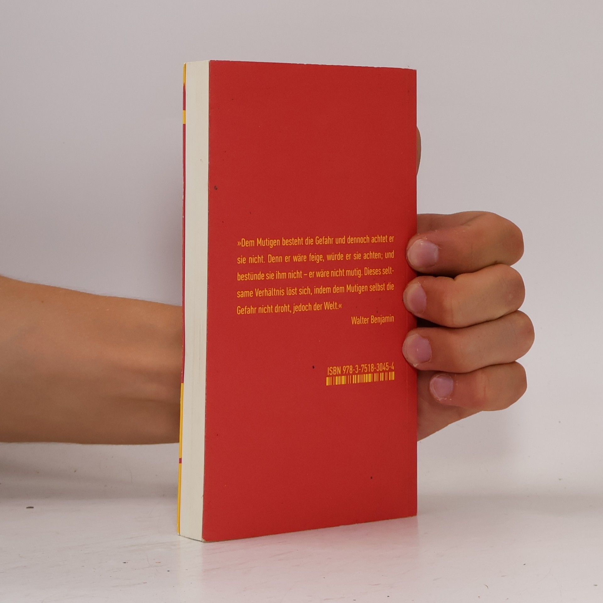 Antonia Birnbaum Mut ohne Heldentum