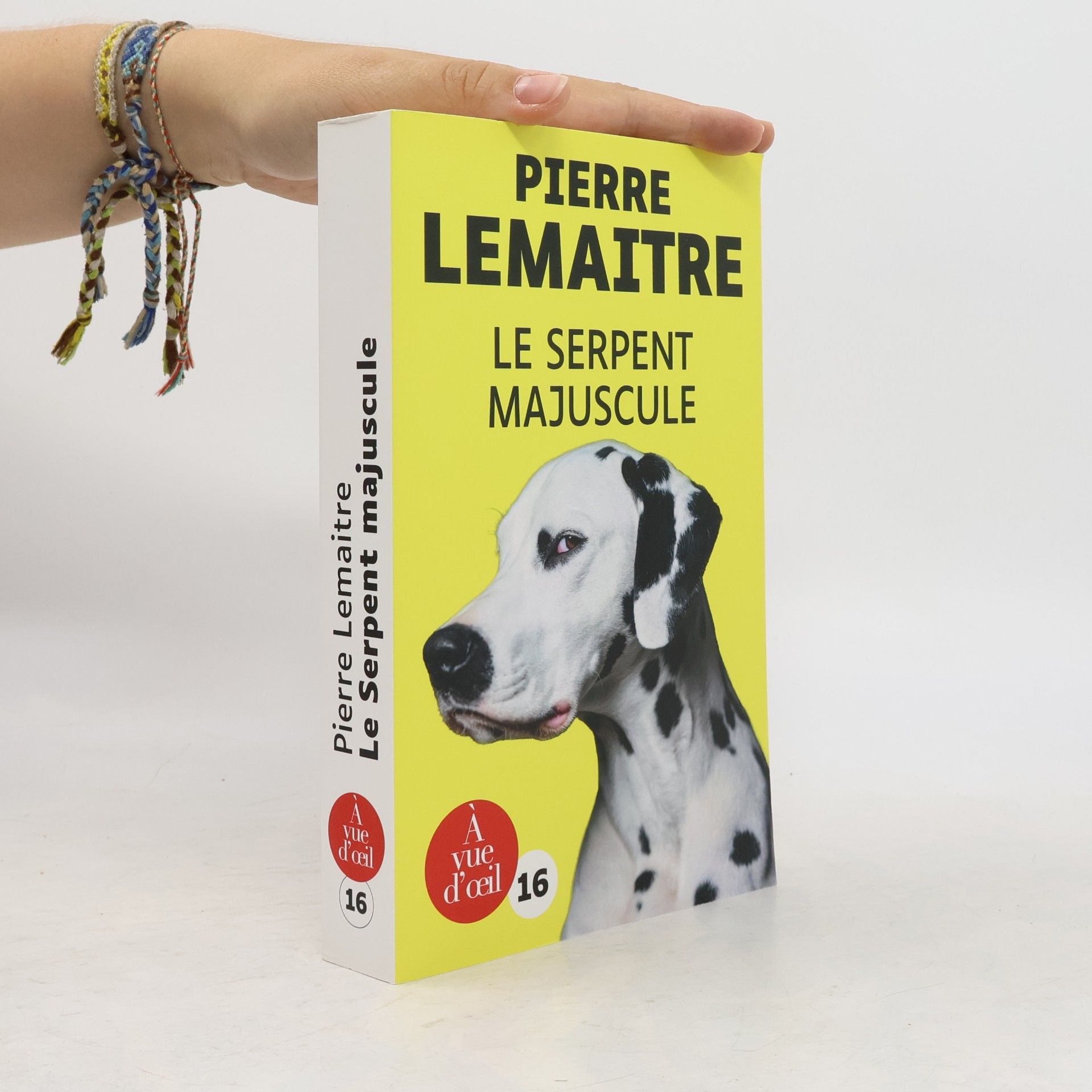 Pierre Lemaitre À vue d'œil - 16: Le serpent majuscule