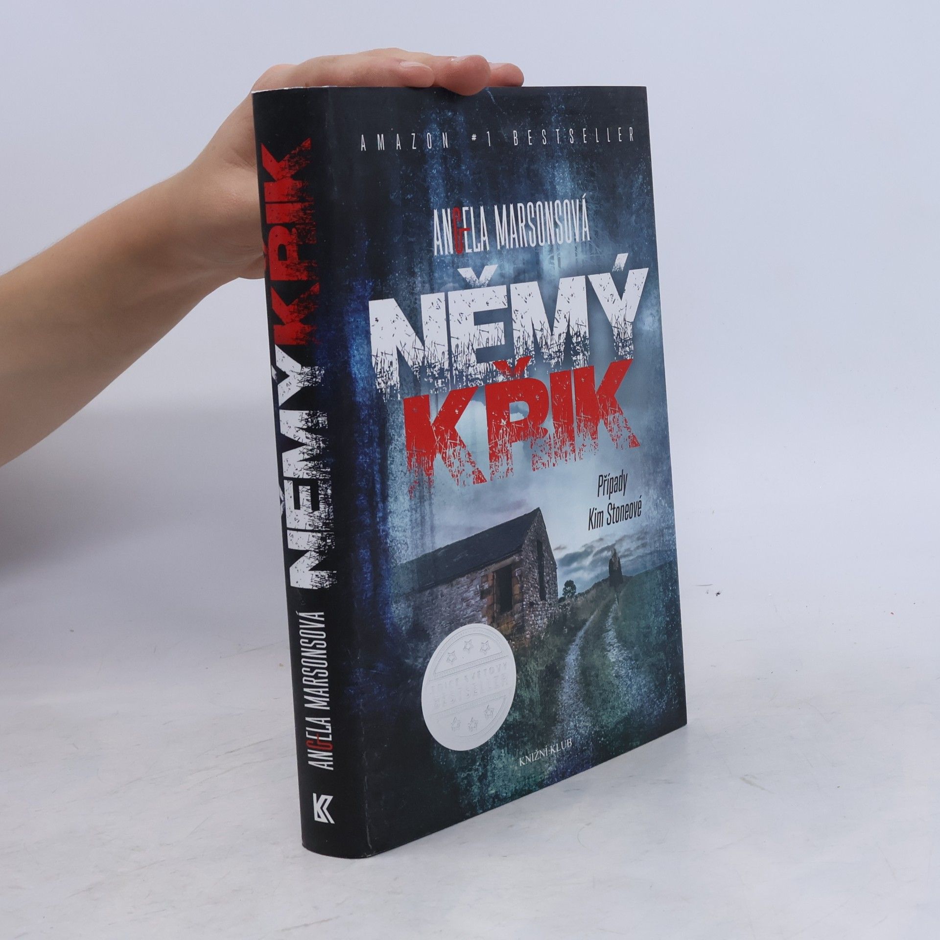 Angela Marsons Němý křik