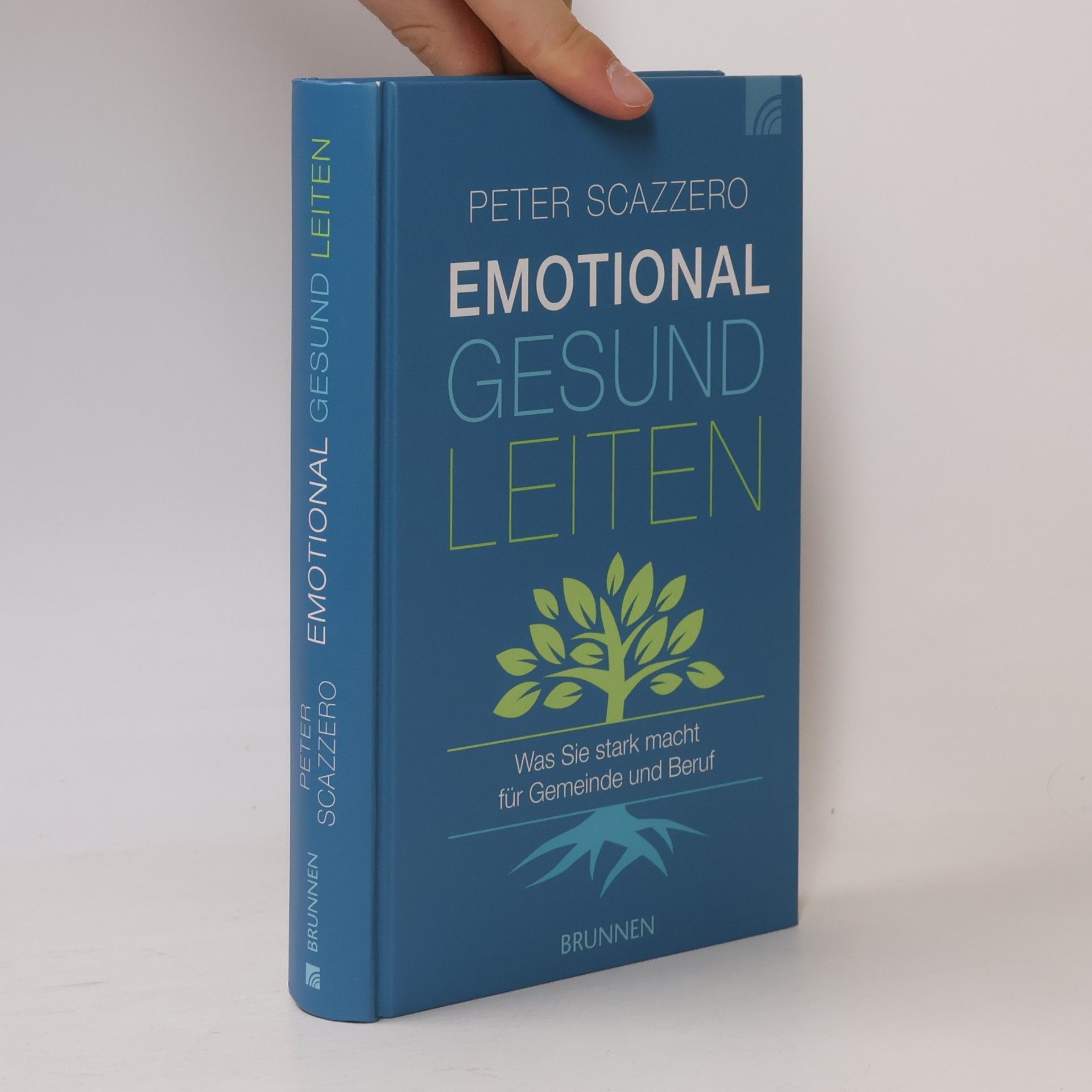 Peter Scazzero Emotional gesund leiten