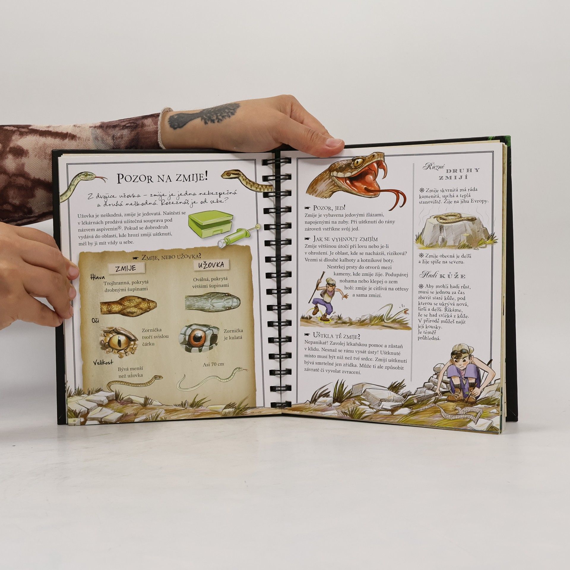 Various authors Příručka pro kluky dobrodruhy