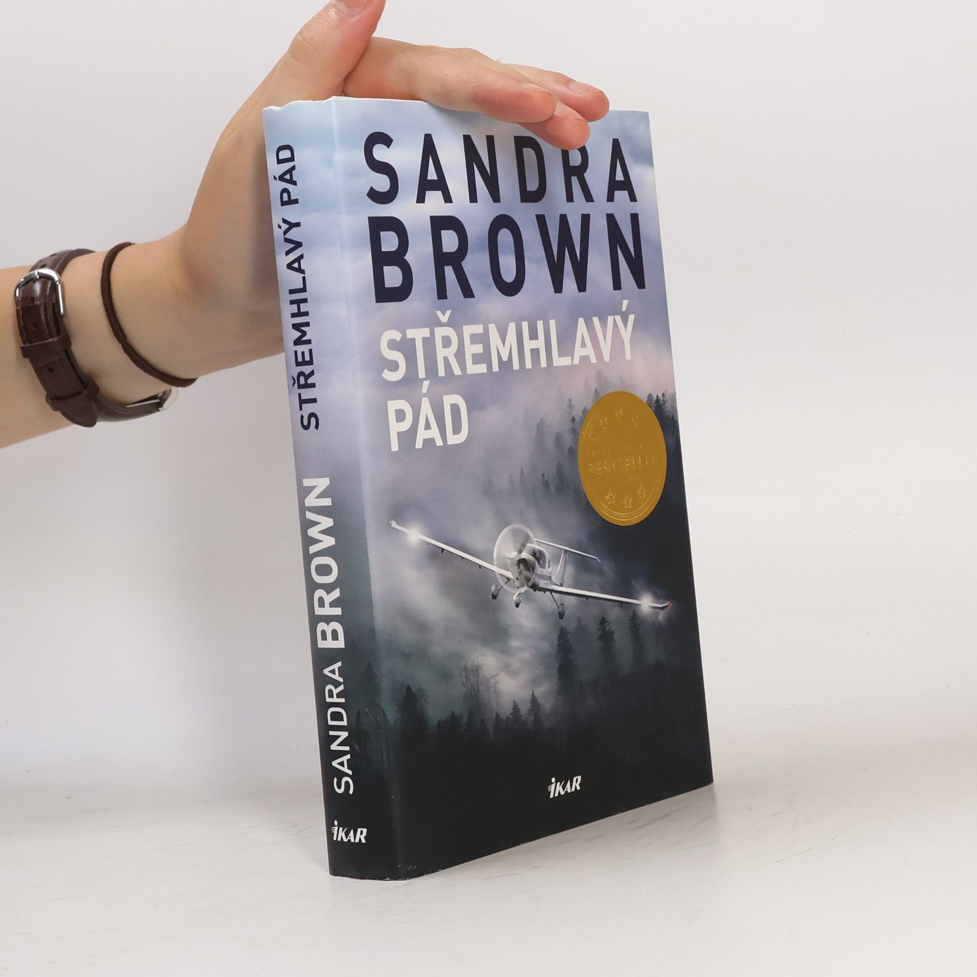 Sandra Brown Střemhlavý pád