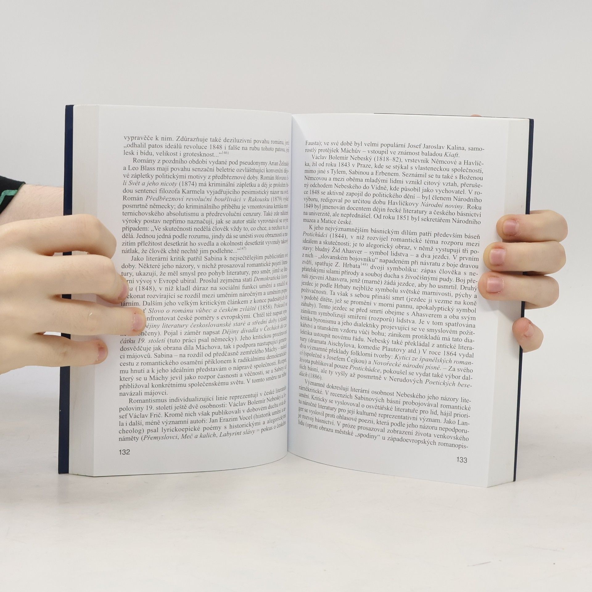 Aleš Haman Trvání v proměně. Česká literatura devatenáctého století