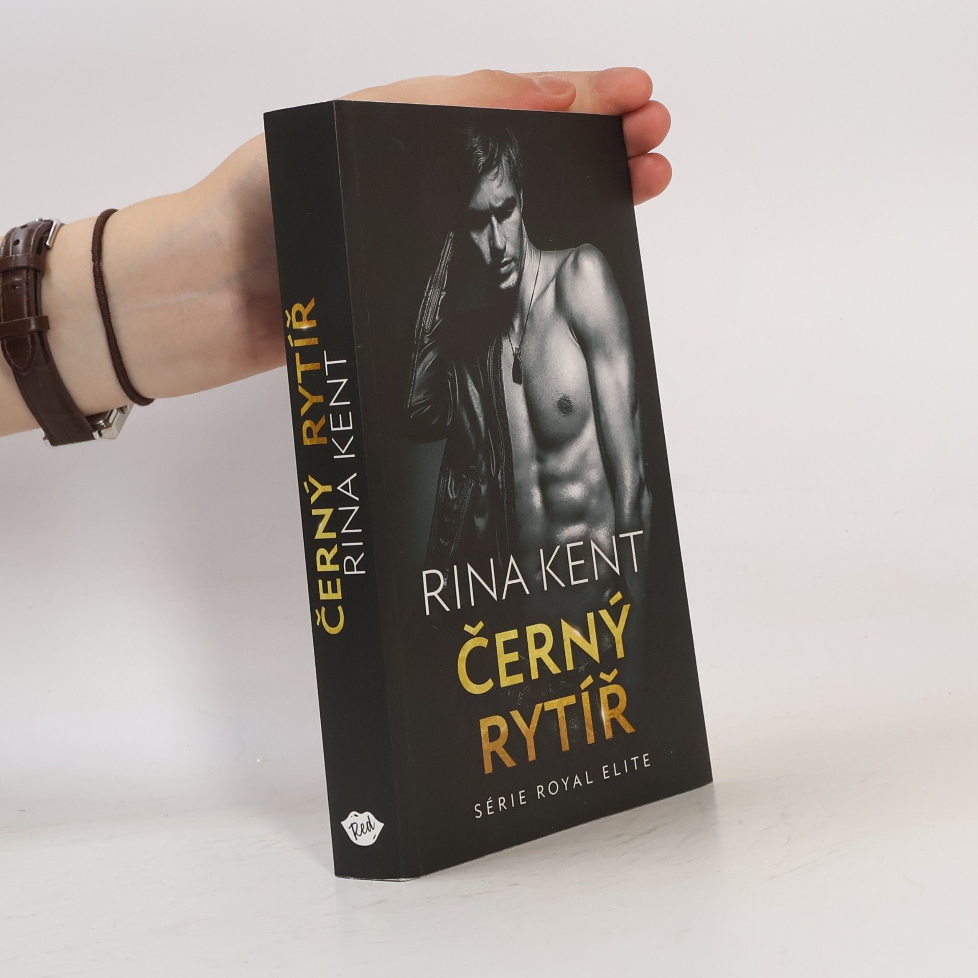 Rina Kent Černý rytíř