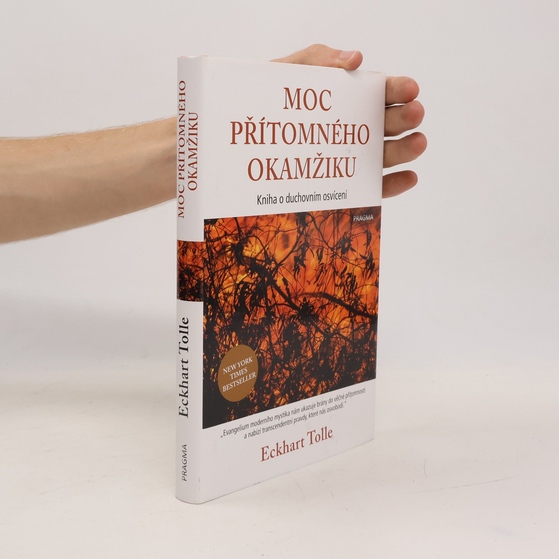 Eckhart Tolle Moc přítomného okamžiku