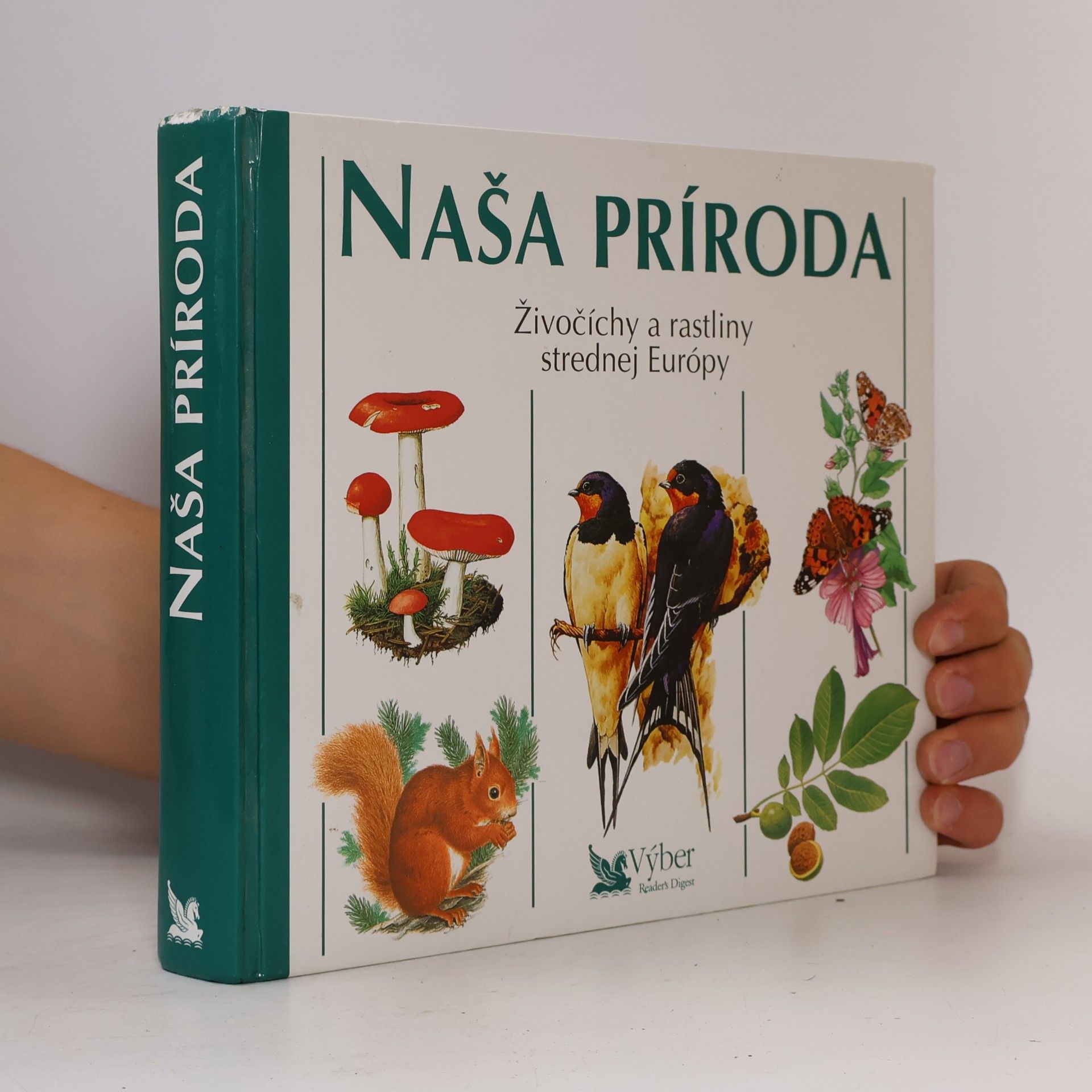 Autorenkollektiv Naša príroda