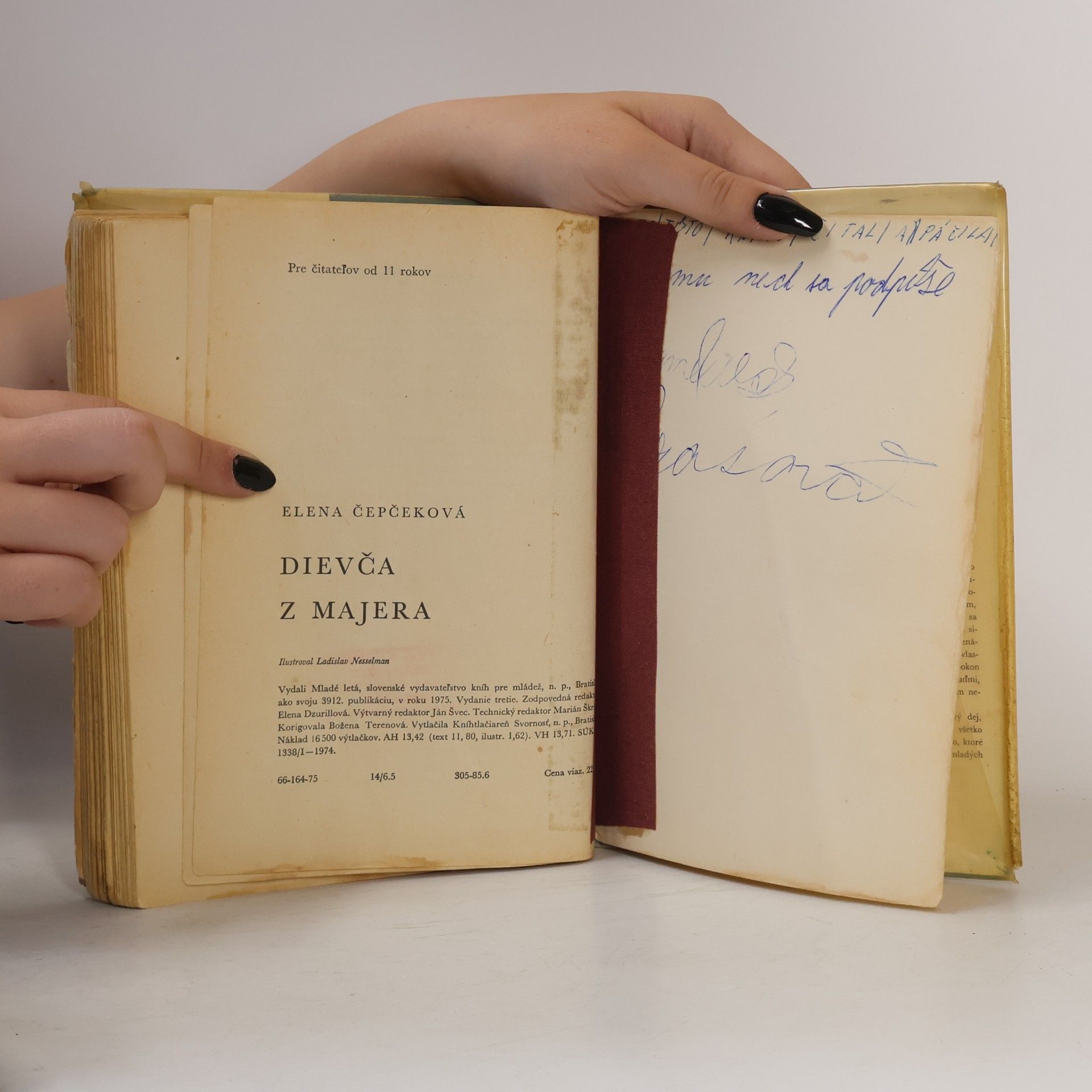 Elena Čepčeková Dievča z majera