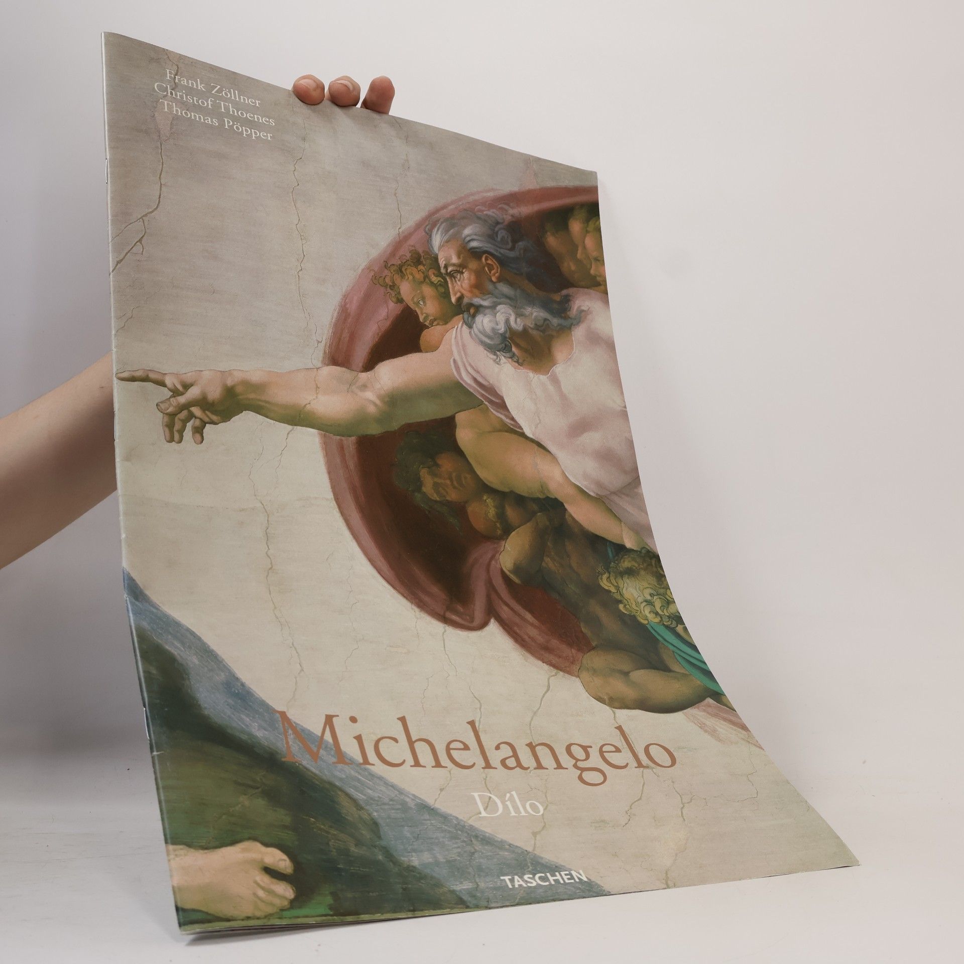 Christof Thoenes Michelangelo Dílo