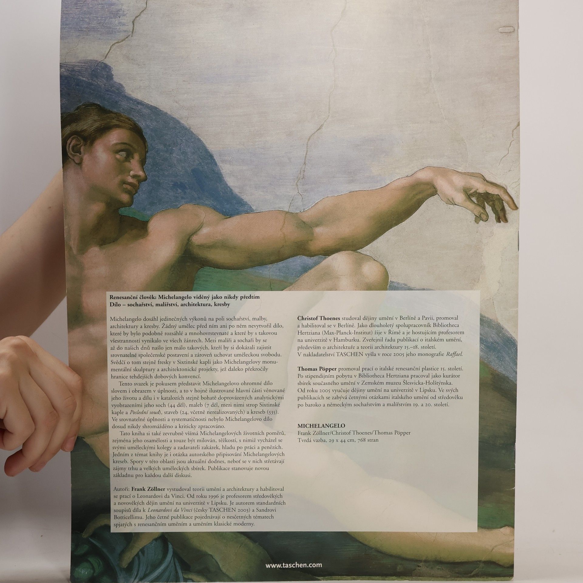 Frank Zöllner Michelangelo Dílo