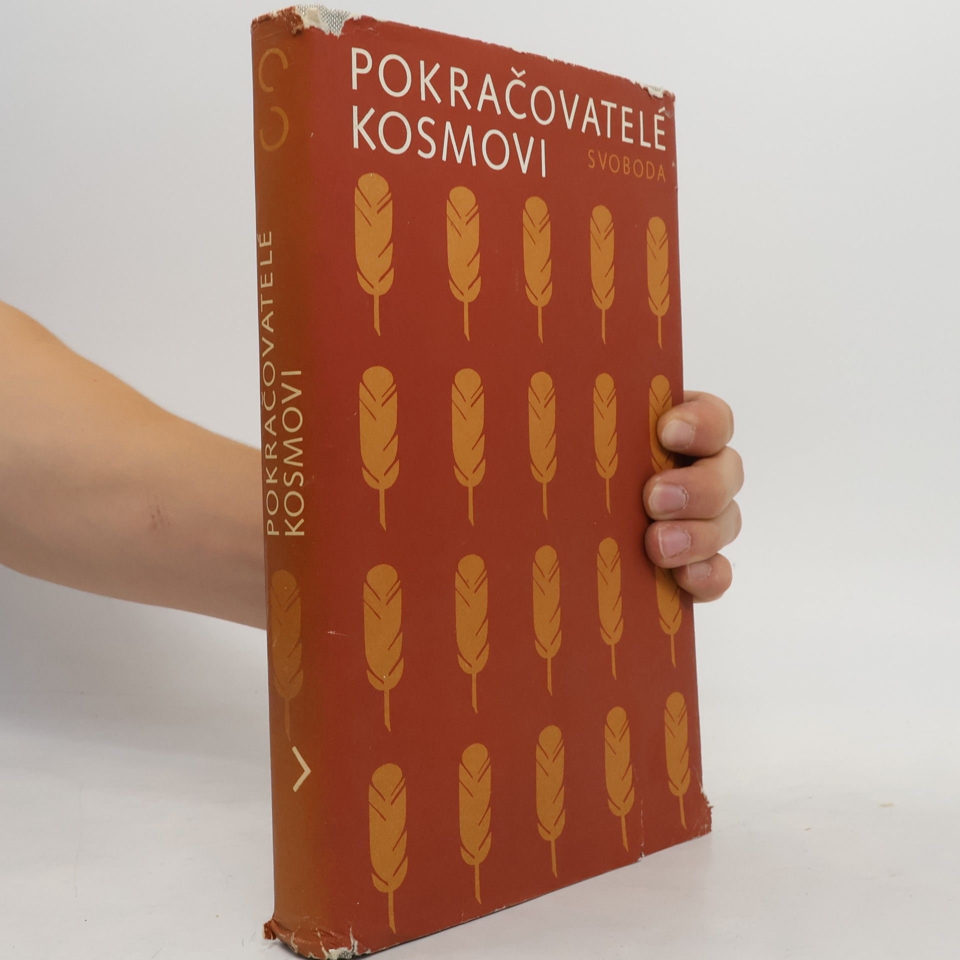 Pokračovatelé Kosmovi