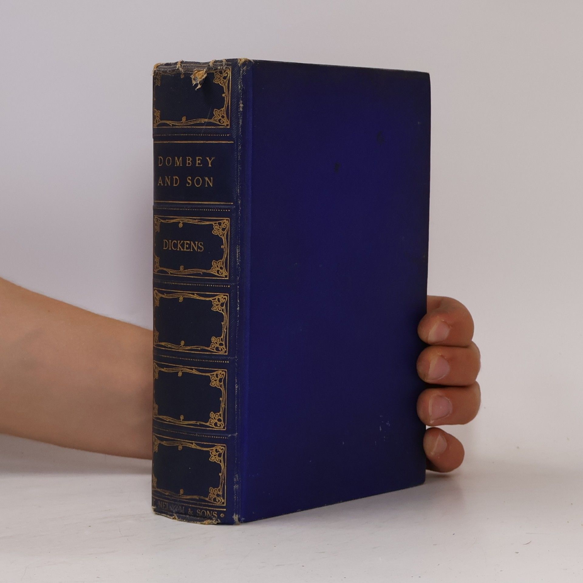 Charles Dickens Dombey And Son