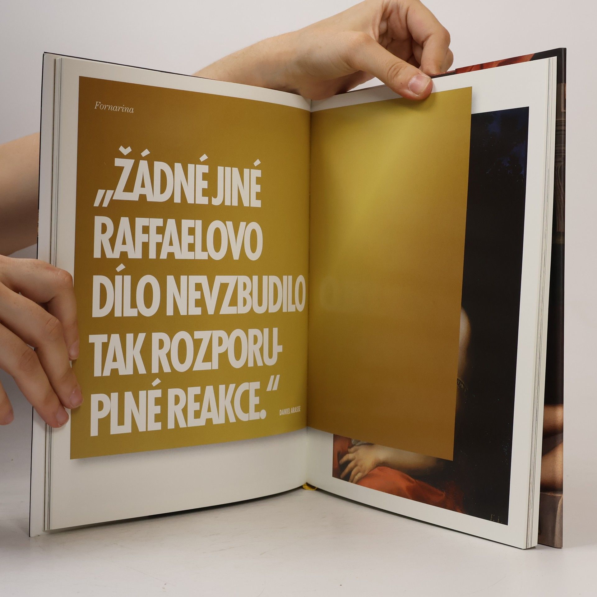 Éléa Baucheron Záhadné muzeum. Umělecká díla s tajemstvím