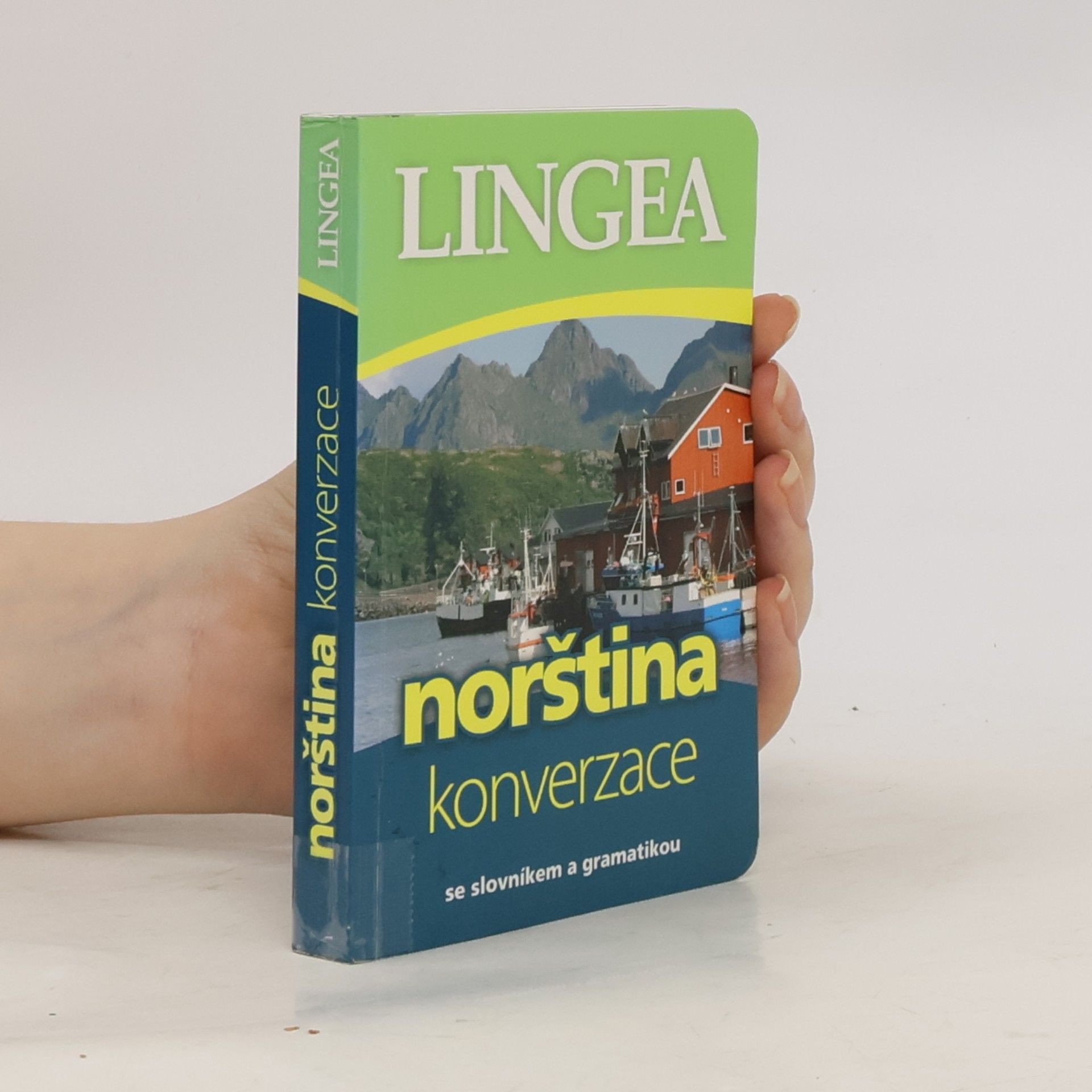 Autorenkollektiv Norština. Konverzace se slovníkem a gramatikou