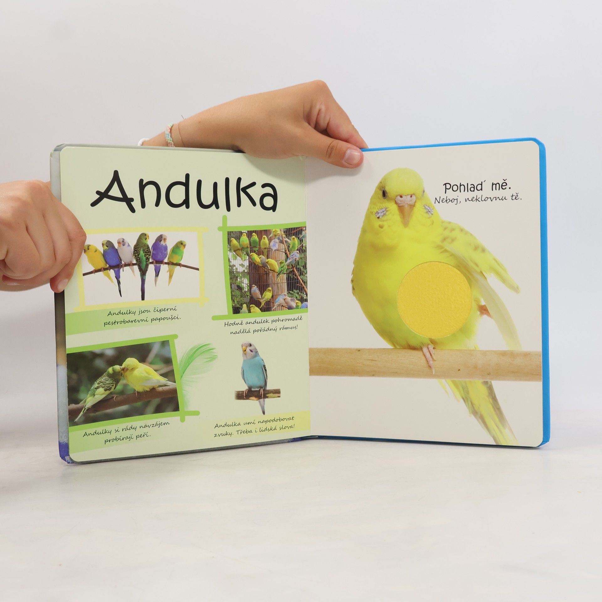 Autorenkollektiv Mazlíčci
