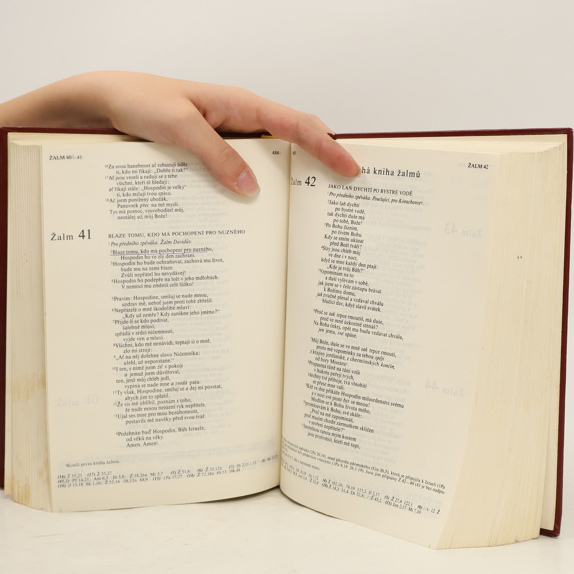 Autorenkollektiv Bible