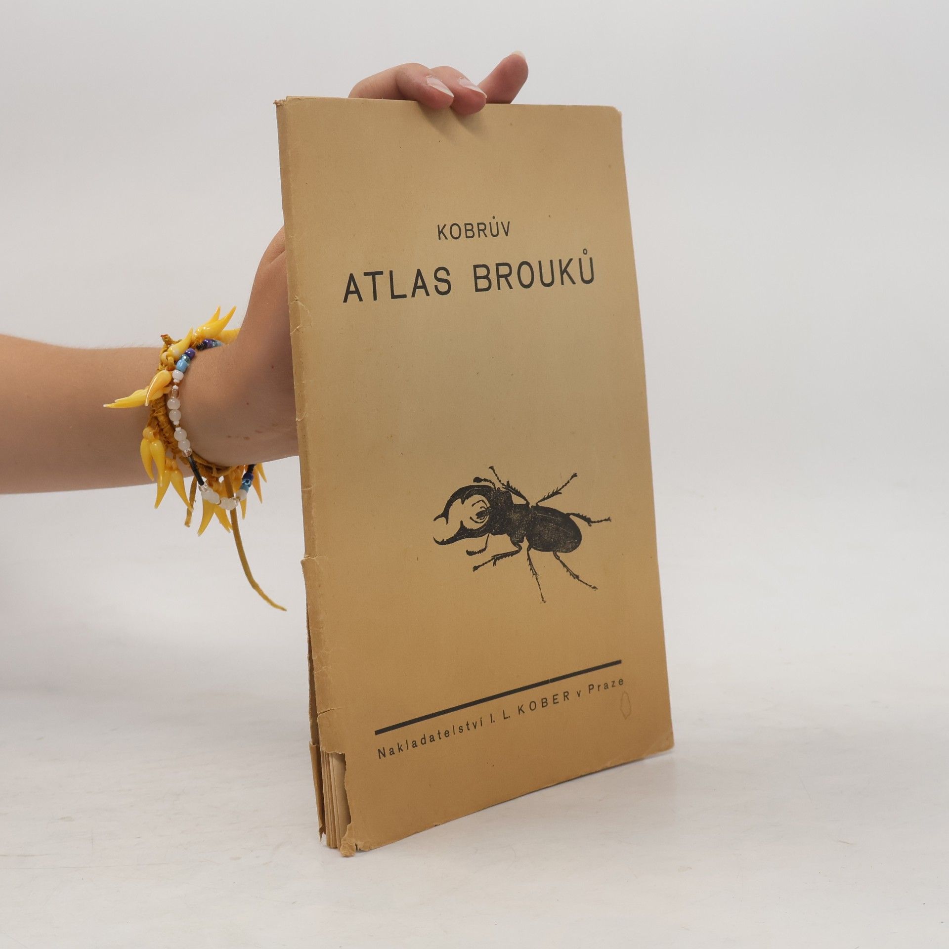 I. L. Kober Kobrův atlas brouků