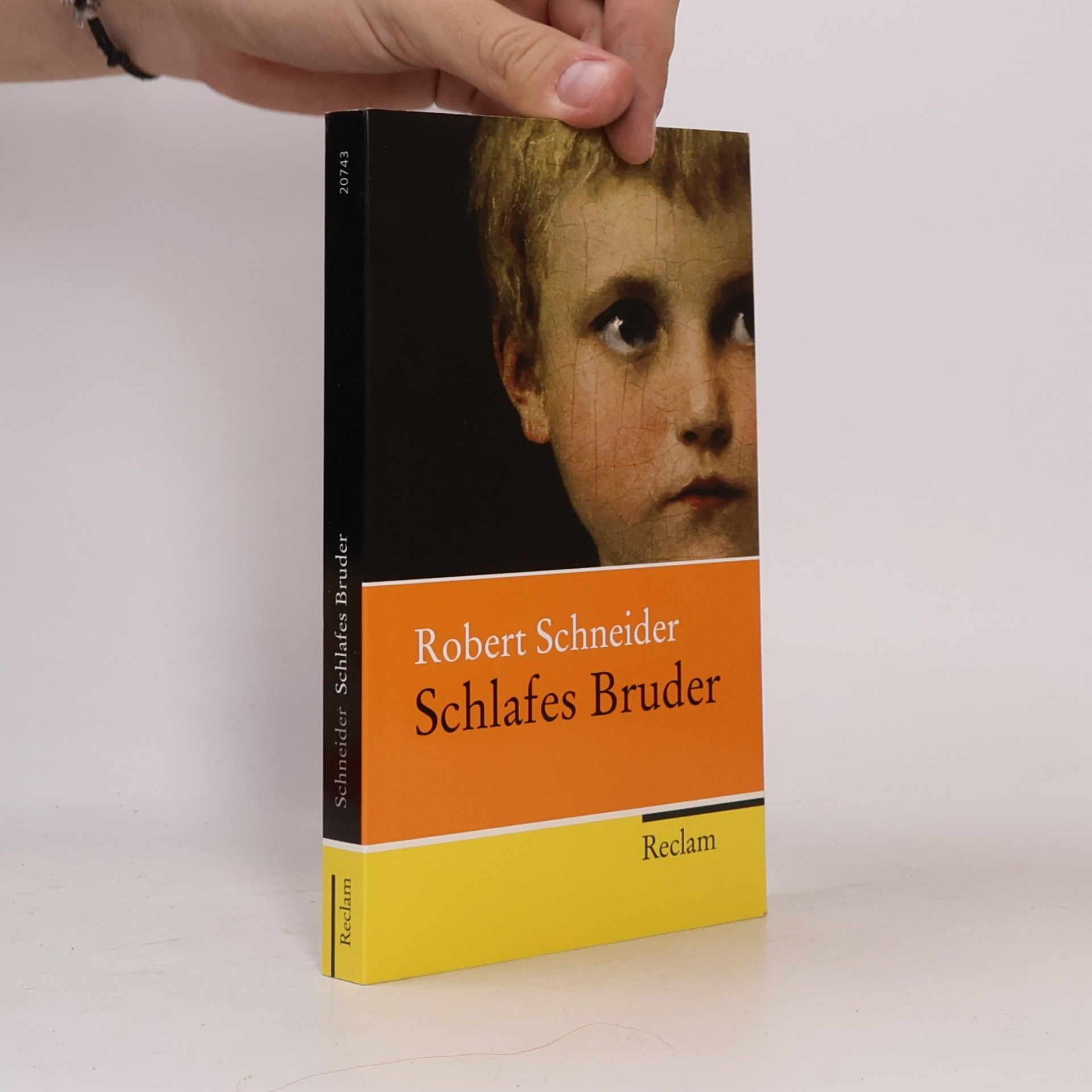 Robert Schneider Schlafes Bruder