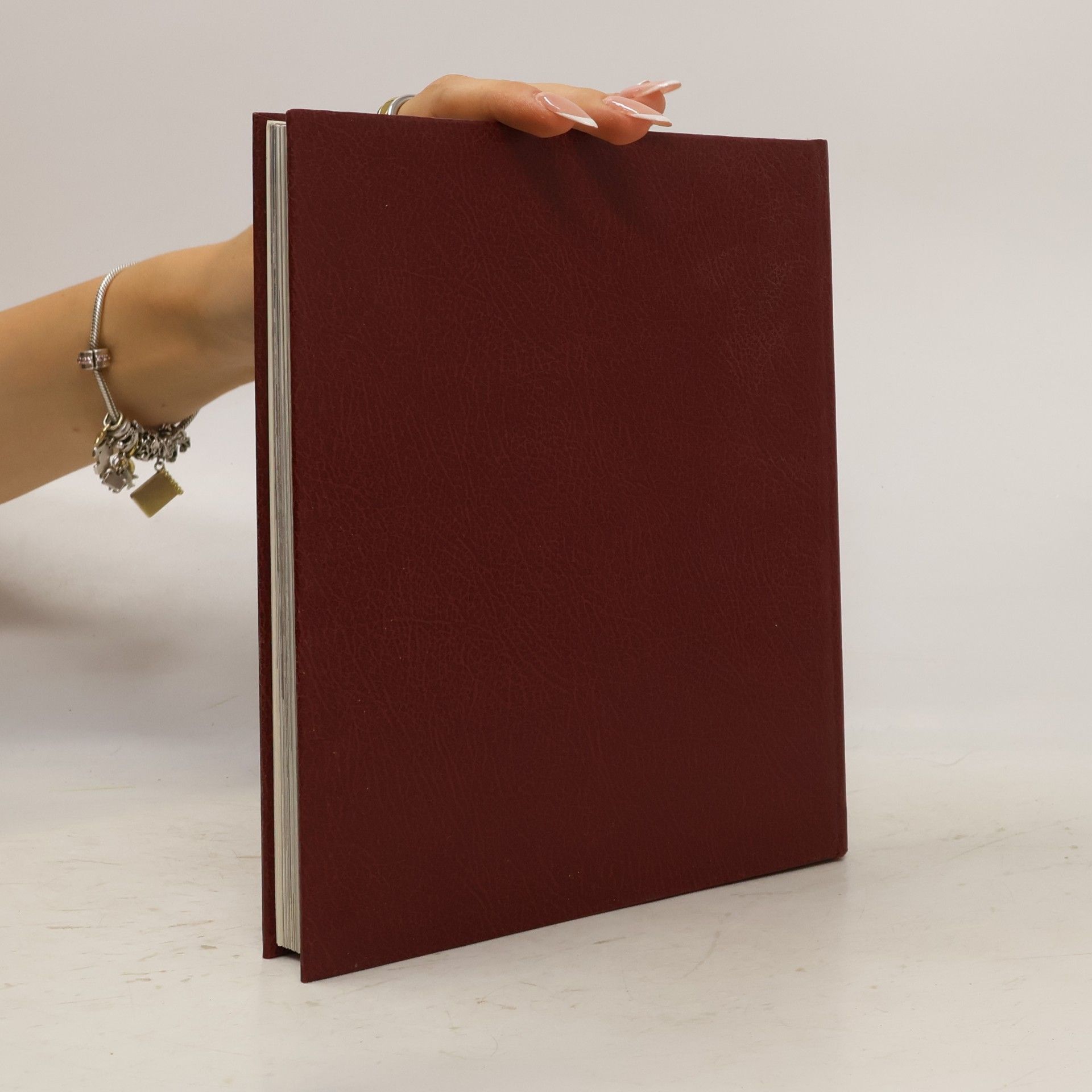François Souchal Das Hohe Mittelalter
